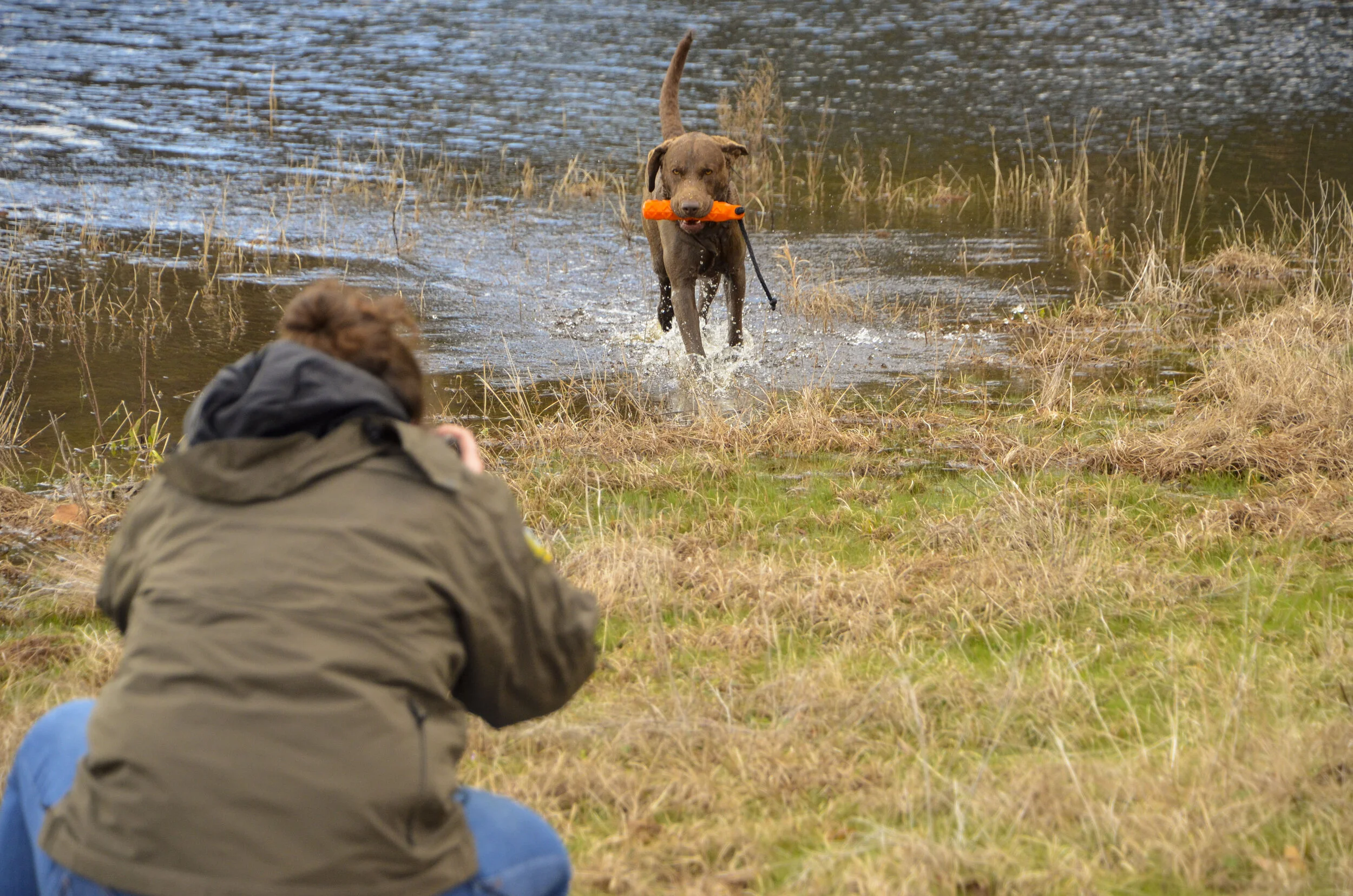 Love Farm Dog Photos_DLucas_117_1.JPG