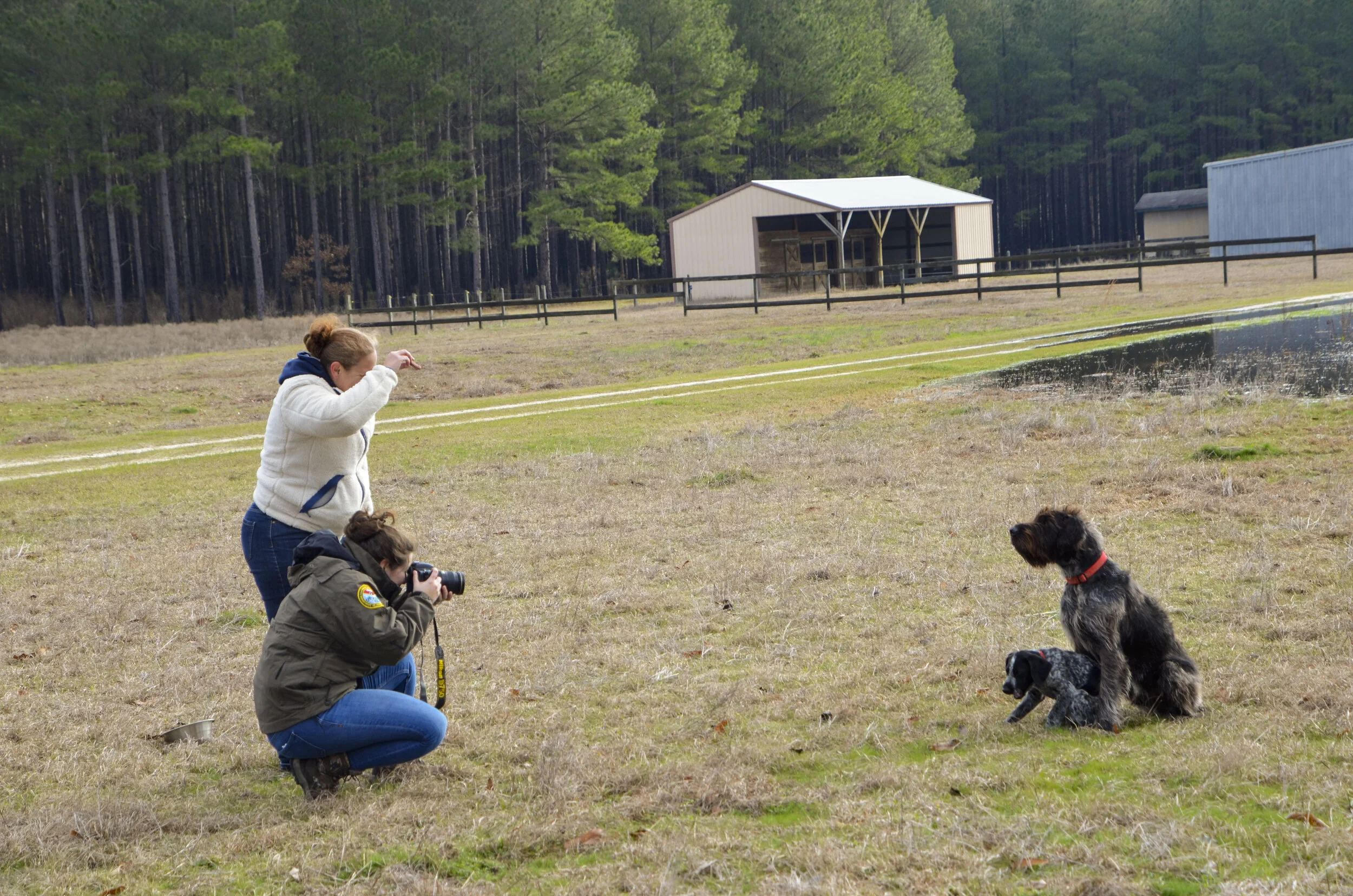 Love Farm Dog Photos_DLucas_027_1.JPG