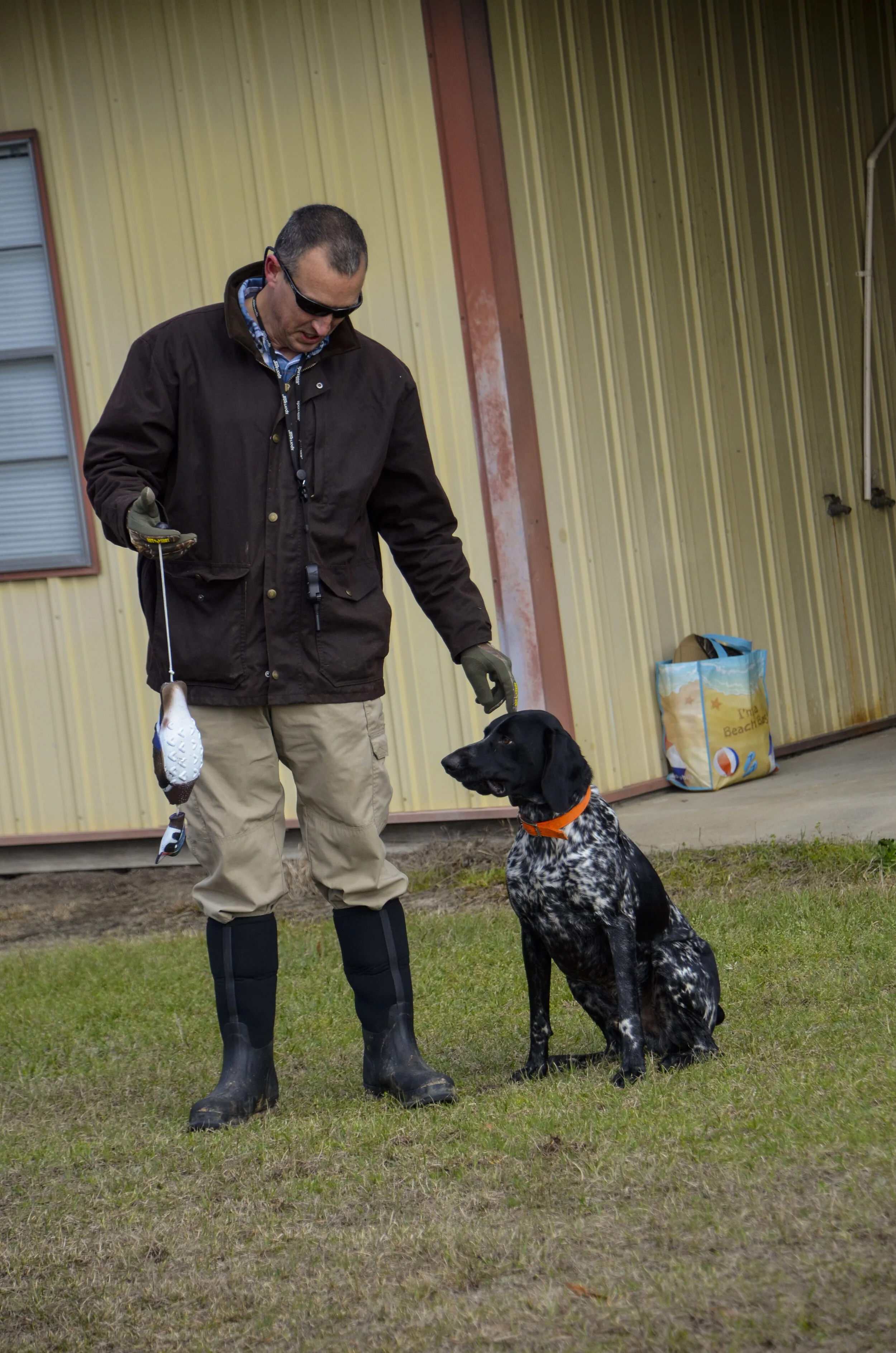 Love Farm Dog Photos_DLucas_063_1.JPG
