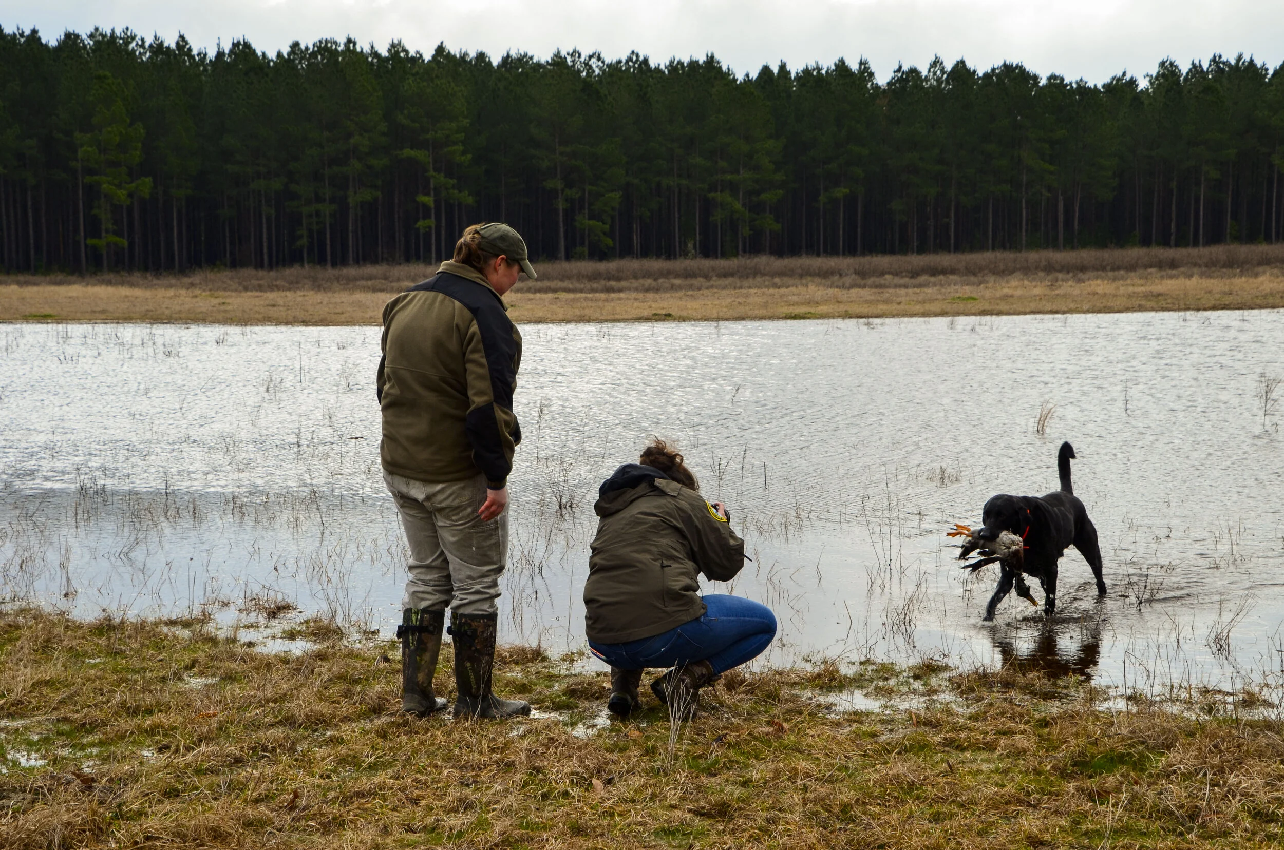 Love Farm Dog Photos_DLucas_249_1.JPG