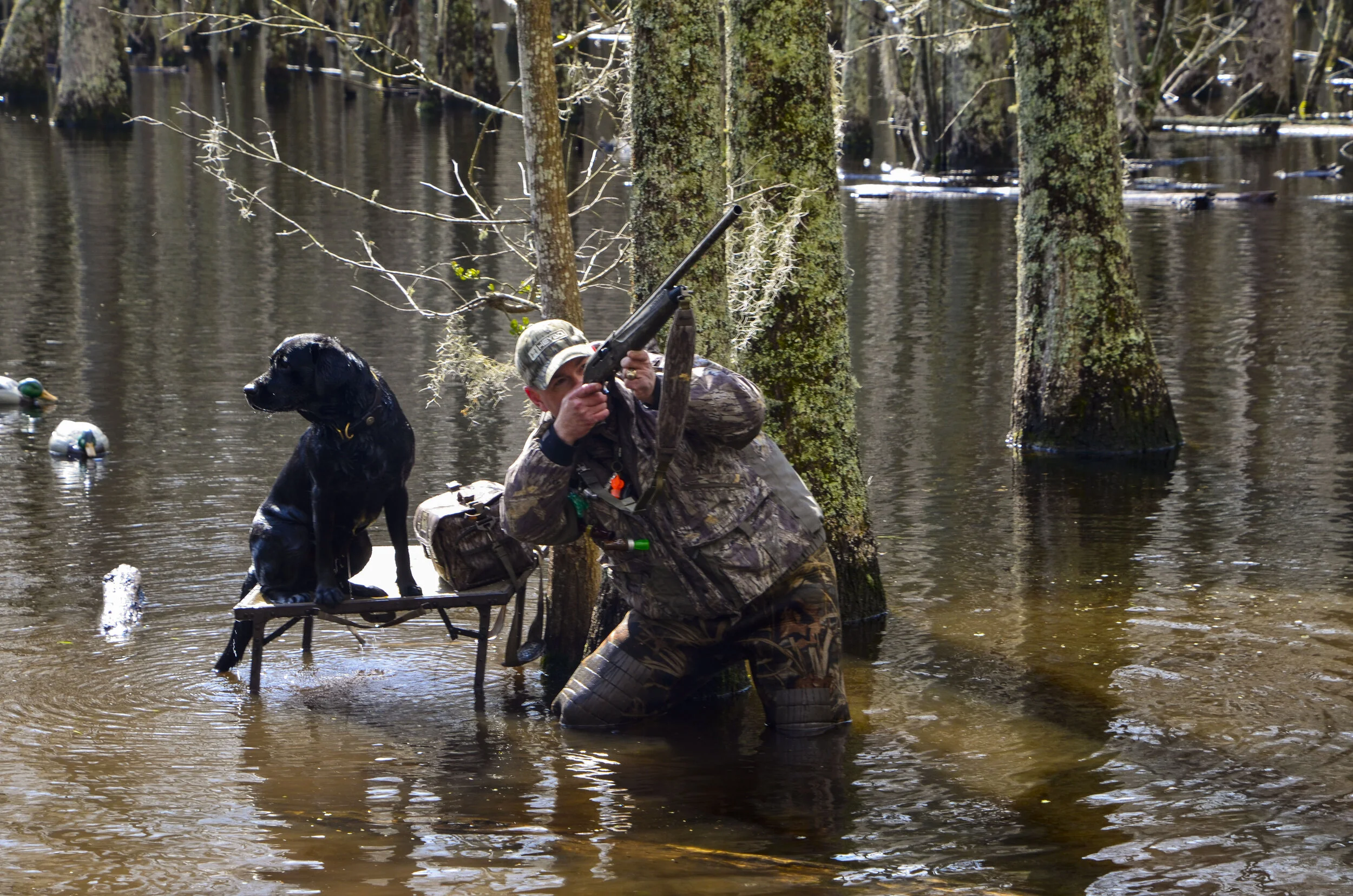 Love Farm Dog Photos_DLucas_406_1.JPG