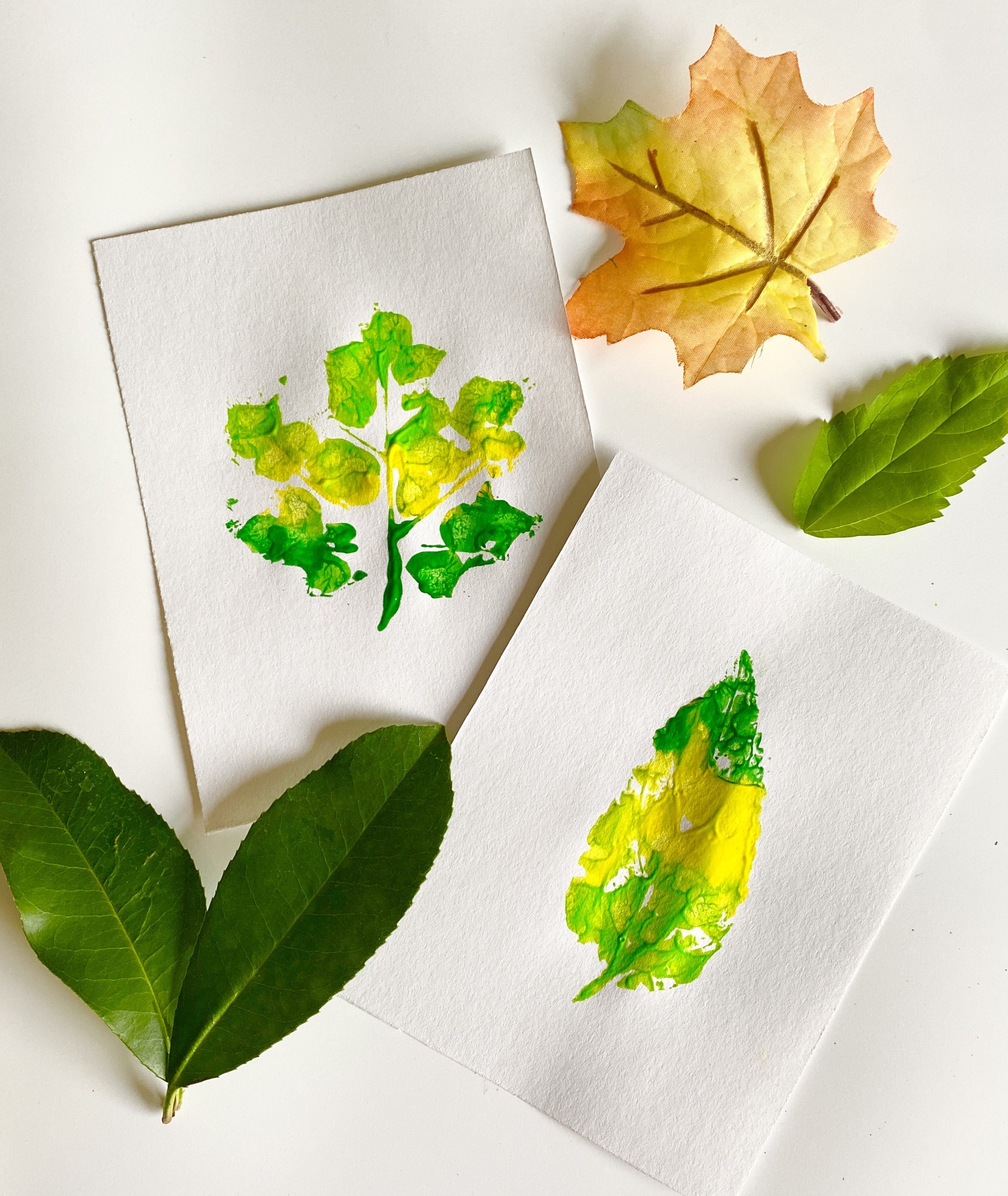Fun With Leaves: Leaf Prints, Patterning with Leaves, Make Your