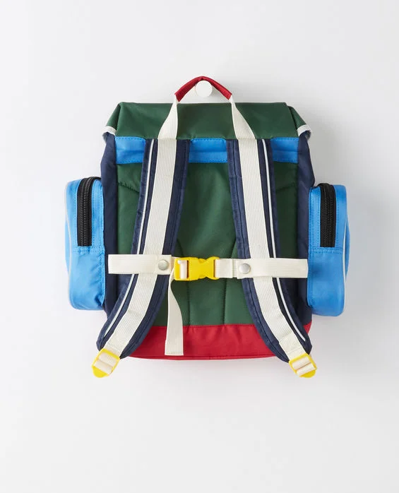 HA backpack back.jpg