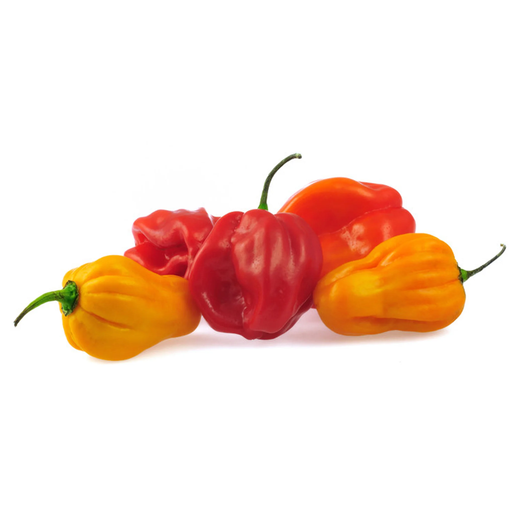 keith-lorren-scotch-bonnet-pepper-sauce.jpg
