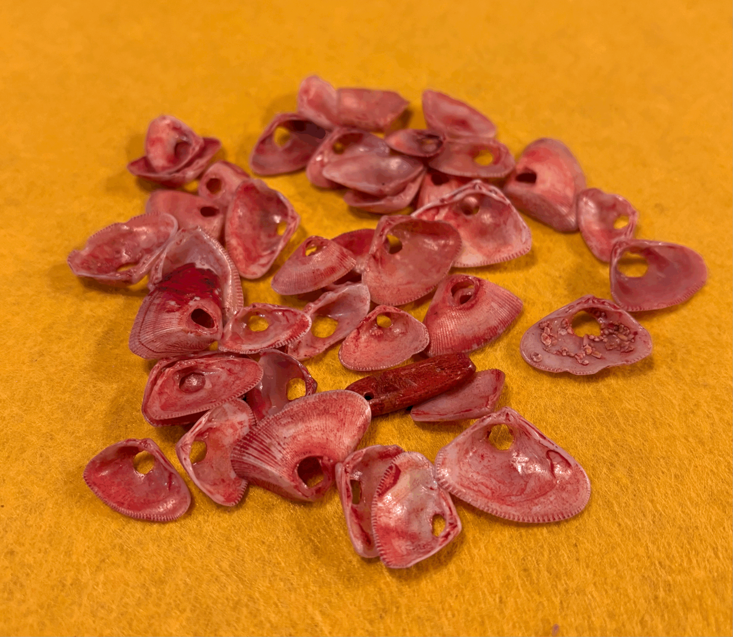 Strawberry Seashells