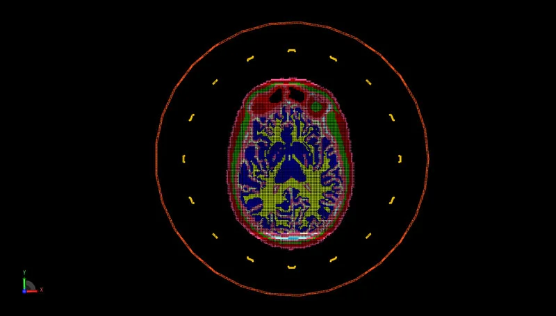 Figure 6: PrOGrid mesh representation of the axial plane of the head and coil geometry.