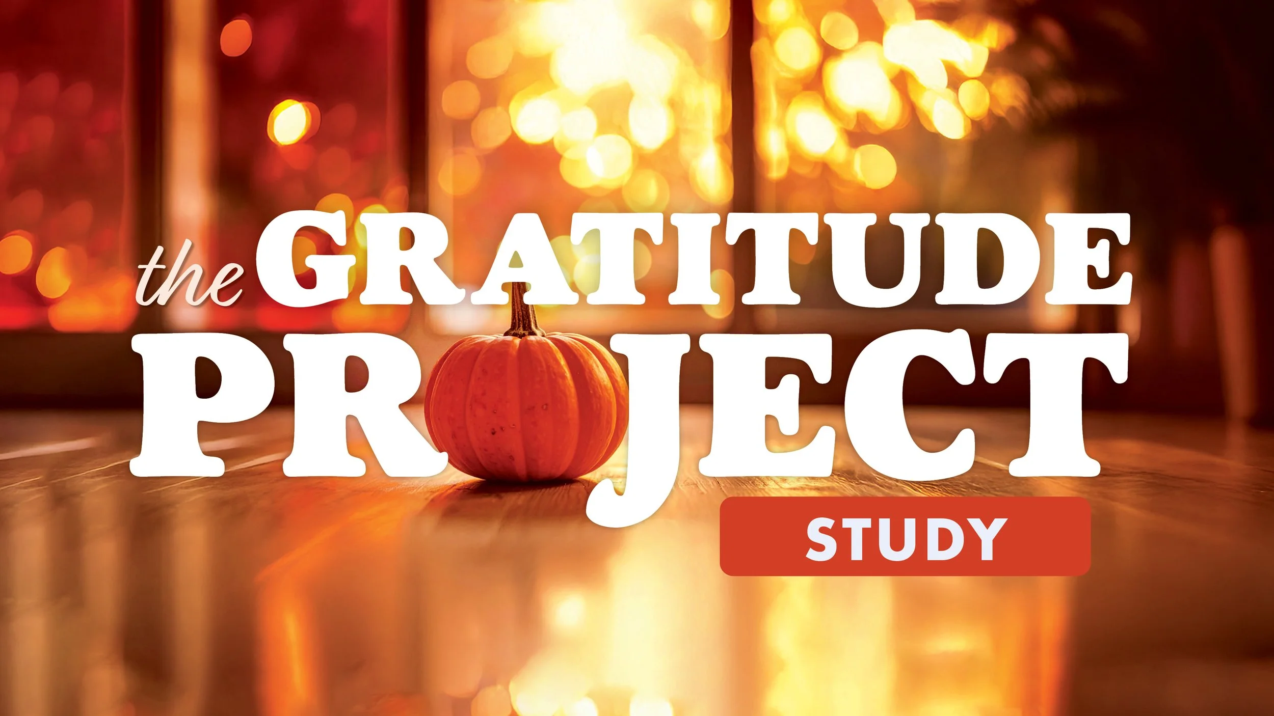 Gratitude Project Small Group Study