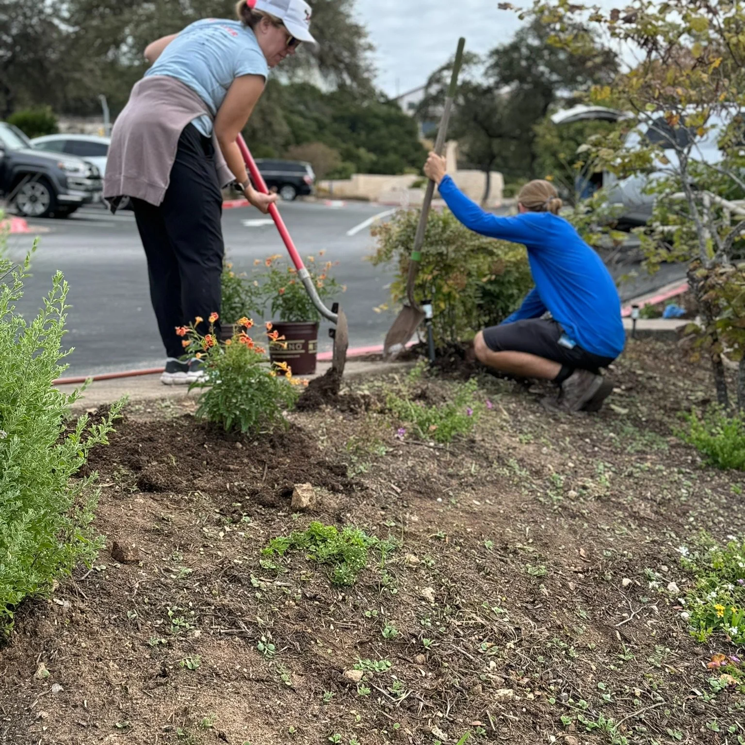 🌻 Next Saturday is Serve Saturday at WHPC! This is a hands-on opportunity to invest in your church. Folks are needed to work outside in teams to freshen up our gardens and grounds. Join us outside and get your hands dirty!

Saturday, November 15 | 7