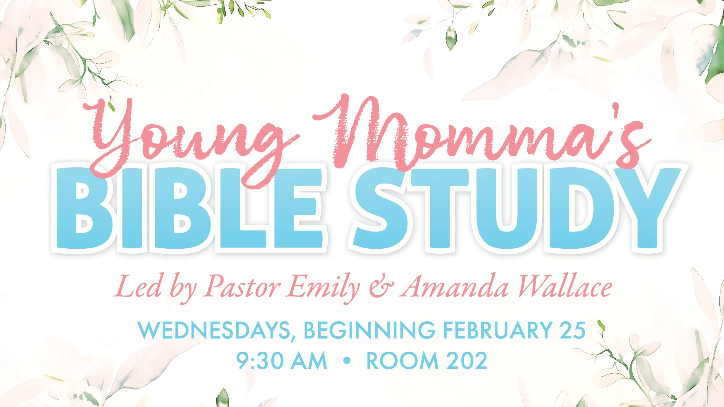 Young Momma's Bible Study