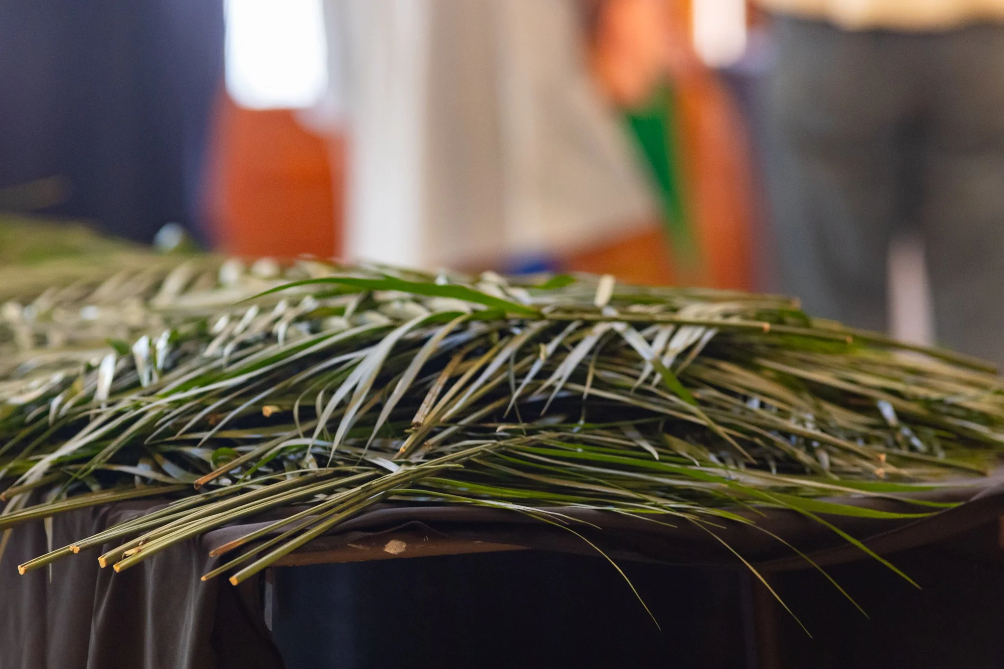 Holy Week begins this Sunday at WHPC. ✝️🌿

The life, death, and resurrection of Jesus Christ are the foundation of the Christian faith, and Holy Week is the most significant week of the year for Christian worship. We invite you to join us as we reme