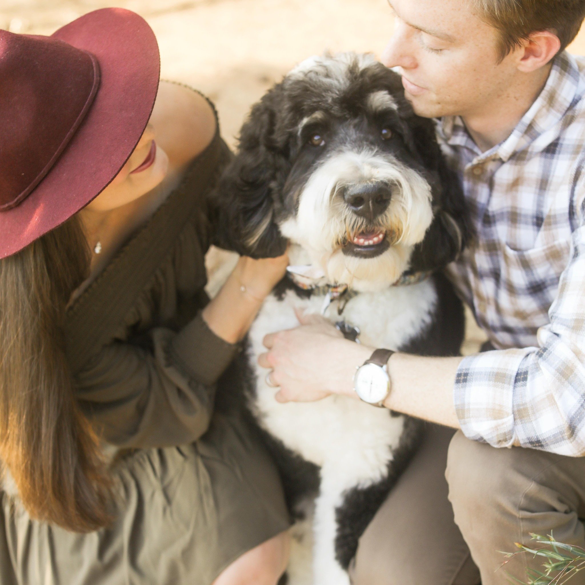 After this kind of week (yes, it&rsquo;s only Tuesday), I&rsquo;m glad I live in a world with dogs.

Like, they love you, care about you, they are so excited to see you, and they&rsquo;re loyal. That&rsquo;s some key character traits that humans woul