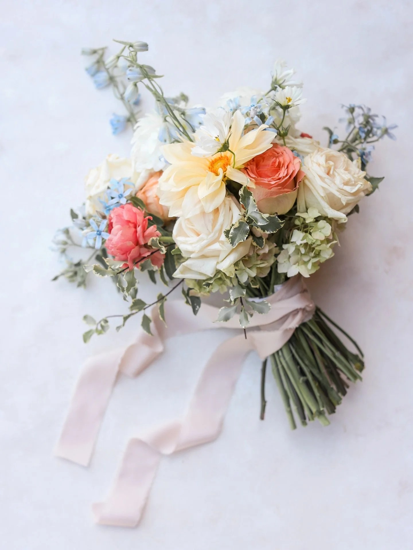 I&rsquo;ve been on my feels!

We have captured some of the kindest couples I&rsquo;ve ever known this year. They&rsquo;re all so unique and truly, they&rsquo;re some of my favorites. Many of them chose softer more quiet days. Some chose to go out of 