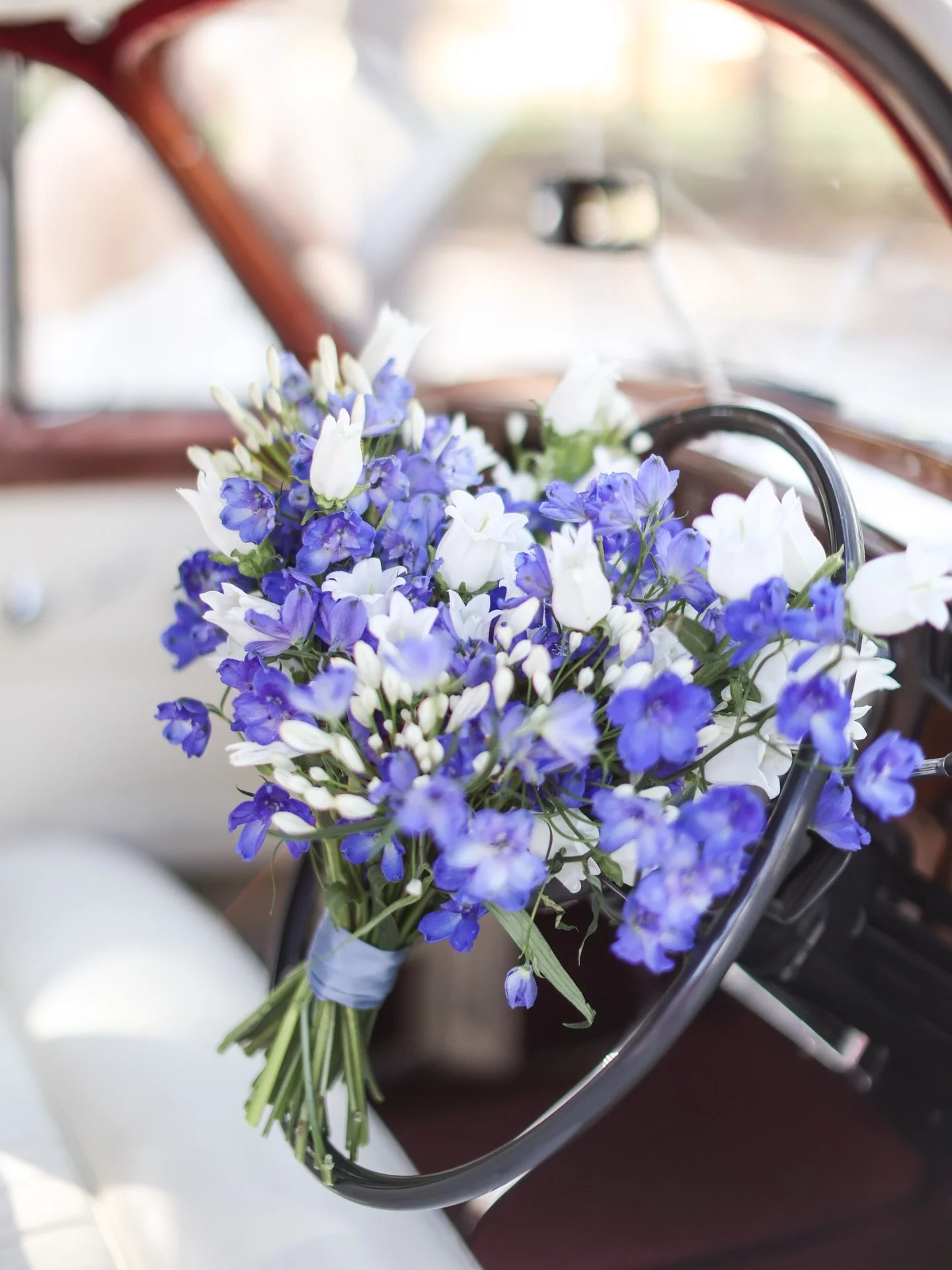 We&rsquo;re back in the driver&rsquo;s seat! 

January is one of my favorite months because after a packed and insane business and ministry schedule, the new year schedule just fills slower and more calm!

Does anyone else love January like me? It fe