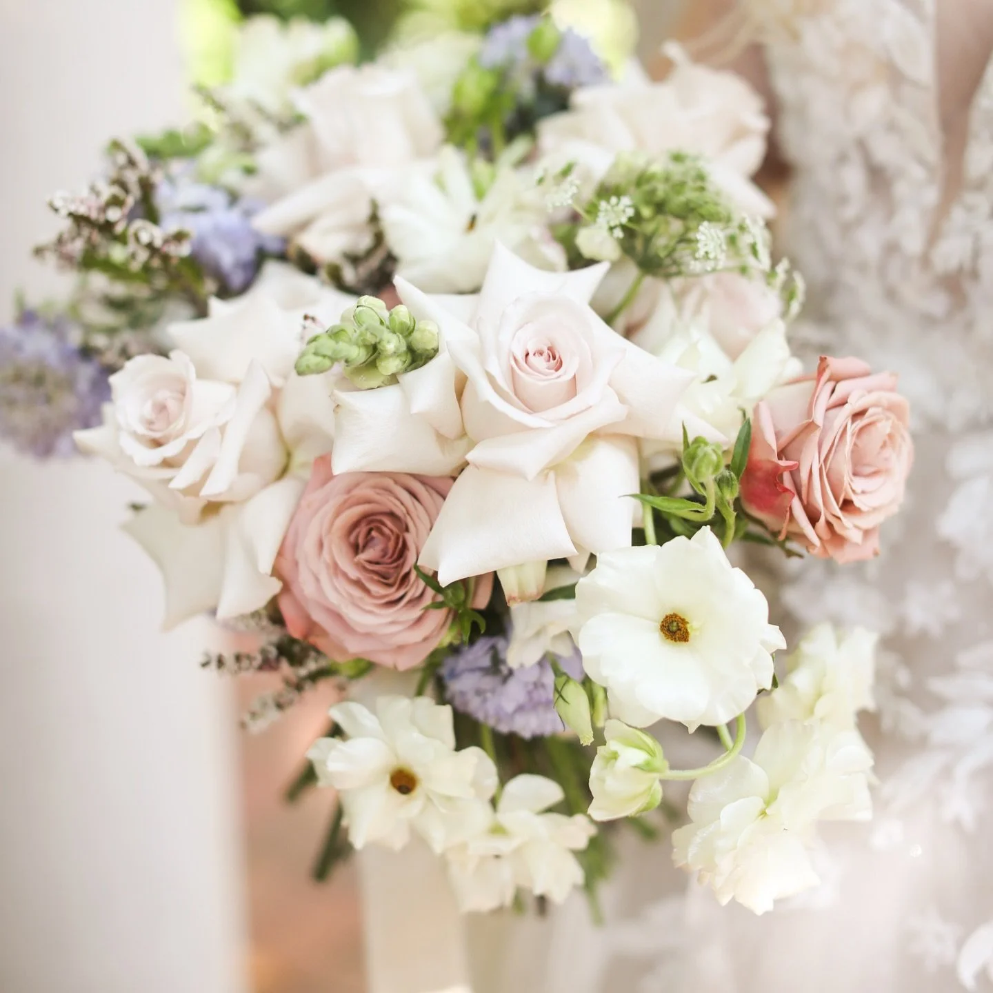 Is there really anything we love more than flowers in the spring?

Enjoy a view from some of my very favs in the last few years! It will make your day brighter!

And number two&hellip;it belonged to me and I&rsquo;ll never get over it. 🥰😍 #amycolew