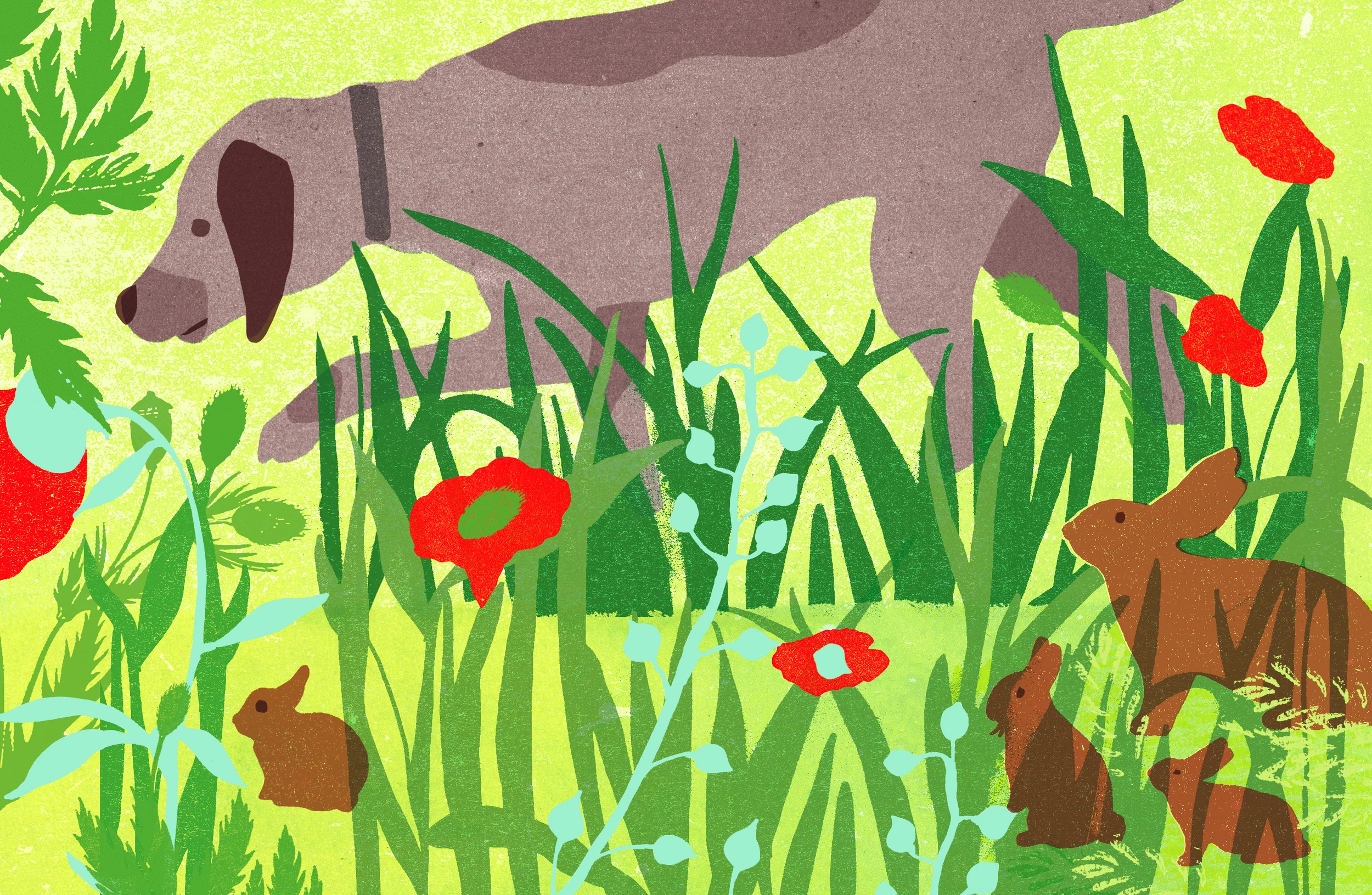 David_Pohl_Illustration_The_Mindful_Gardner.jpg