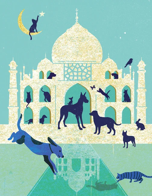 David_Pohl_Illustration_Design.jpg
