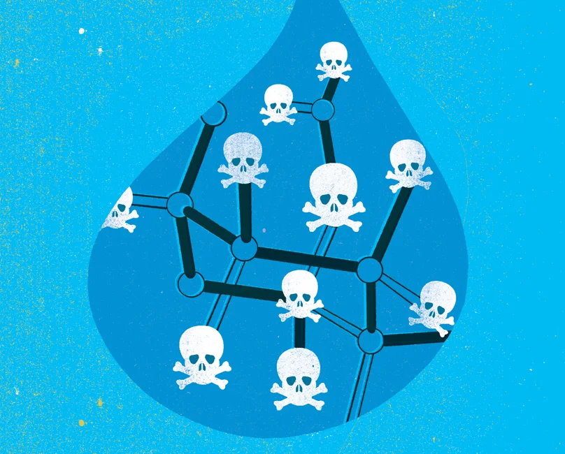 david_Pohl_Pollutants Disrupt Hormonal Function.jpg