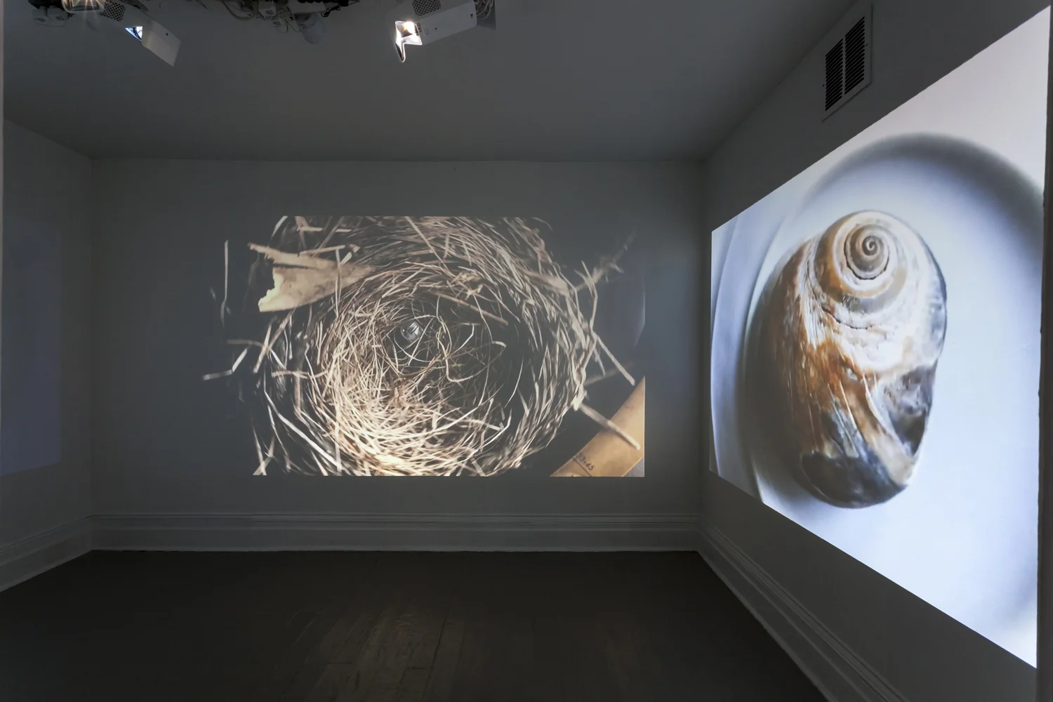 Pohl_David-MF 40th-Vexations-02.jpg