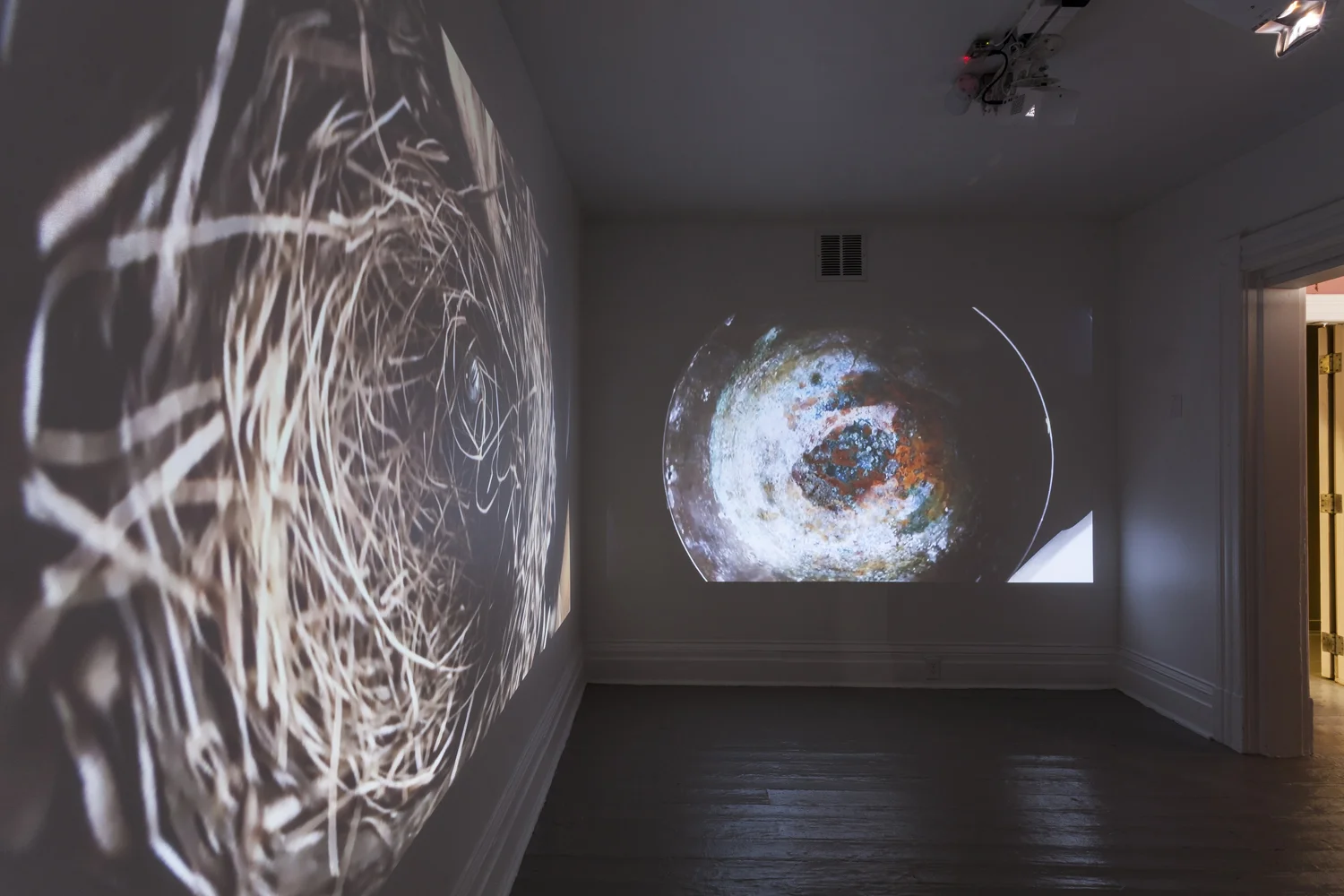 Pohl_David-MF 40th-Vexations-05.jpg