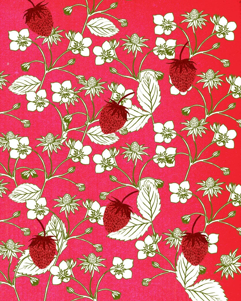 david_pohl_strawberry_fields_forever.jpg