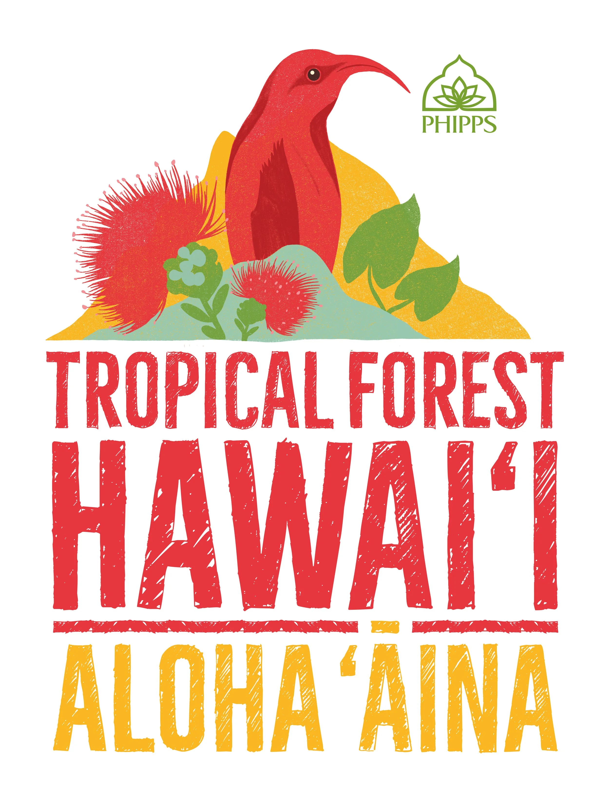Phipps_Tropical Forest Hawaii.jpg