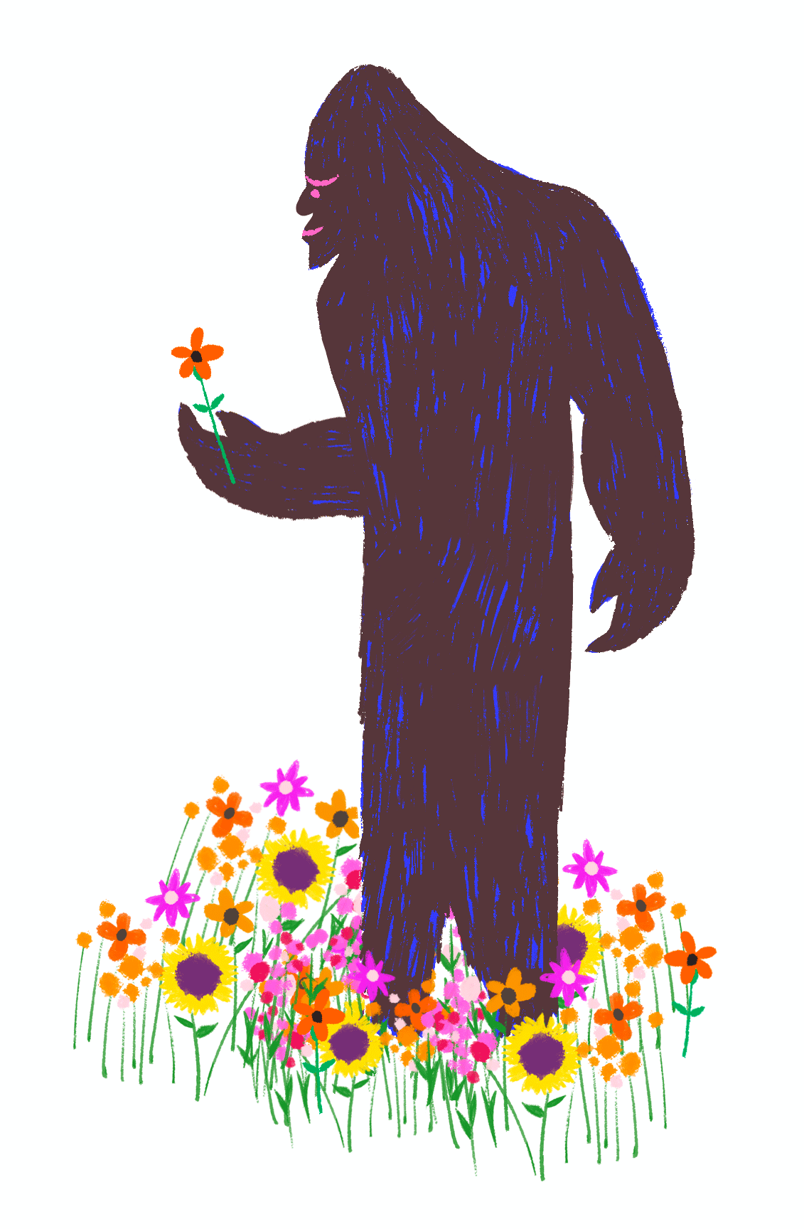 davidpohl_illustration_animation_flowers.gif