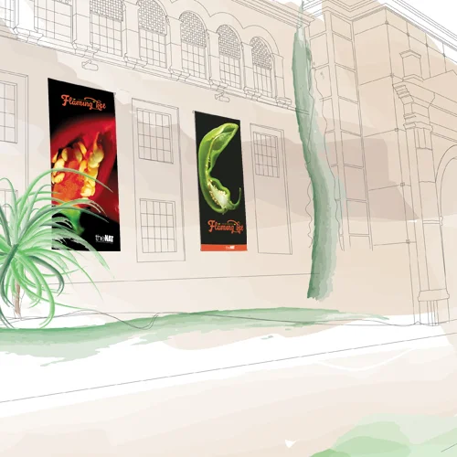 thenat_banner_01_color.jpg