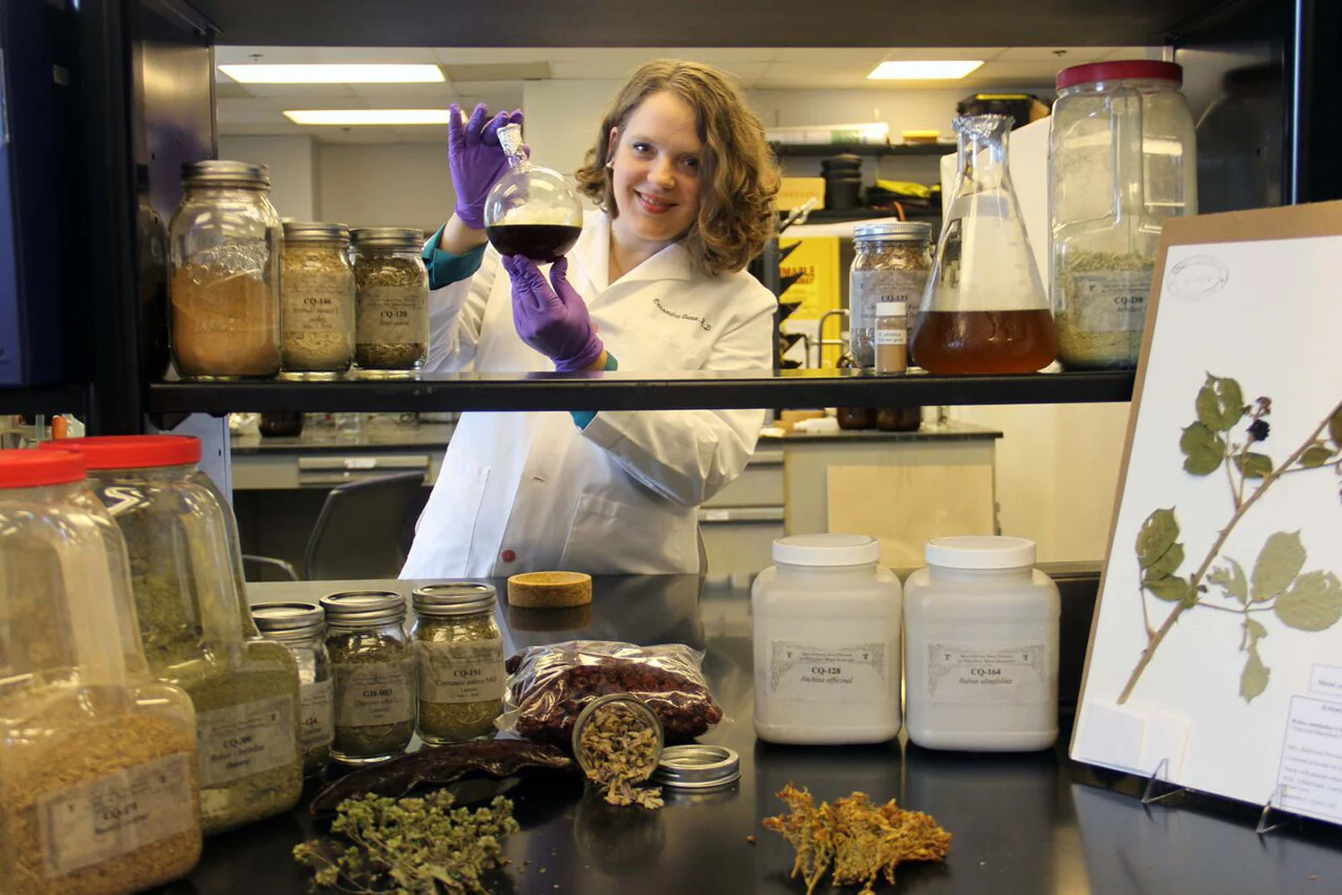 The Plant Based Solution to Antibiotic Resistance 