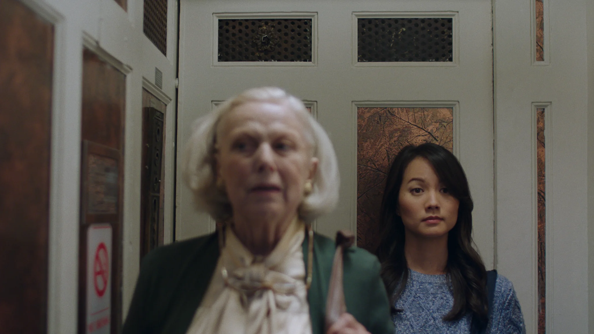 Photo from Episode 1 "Elevator" of susaneLand