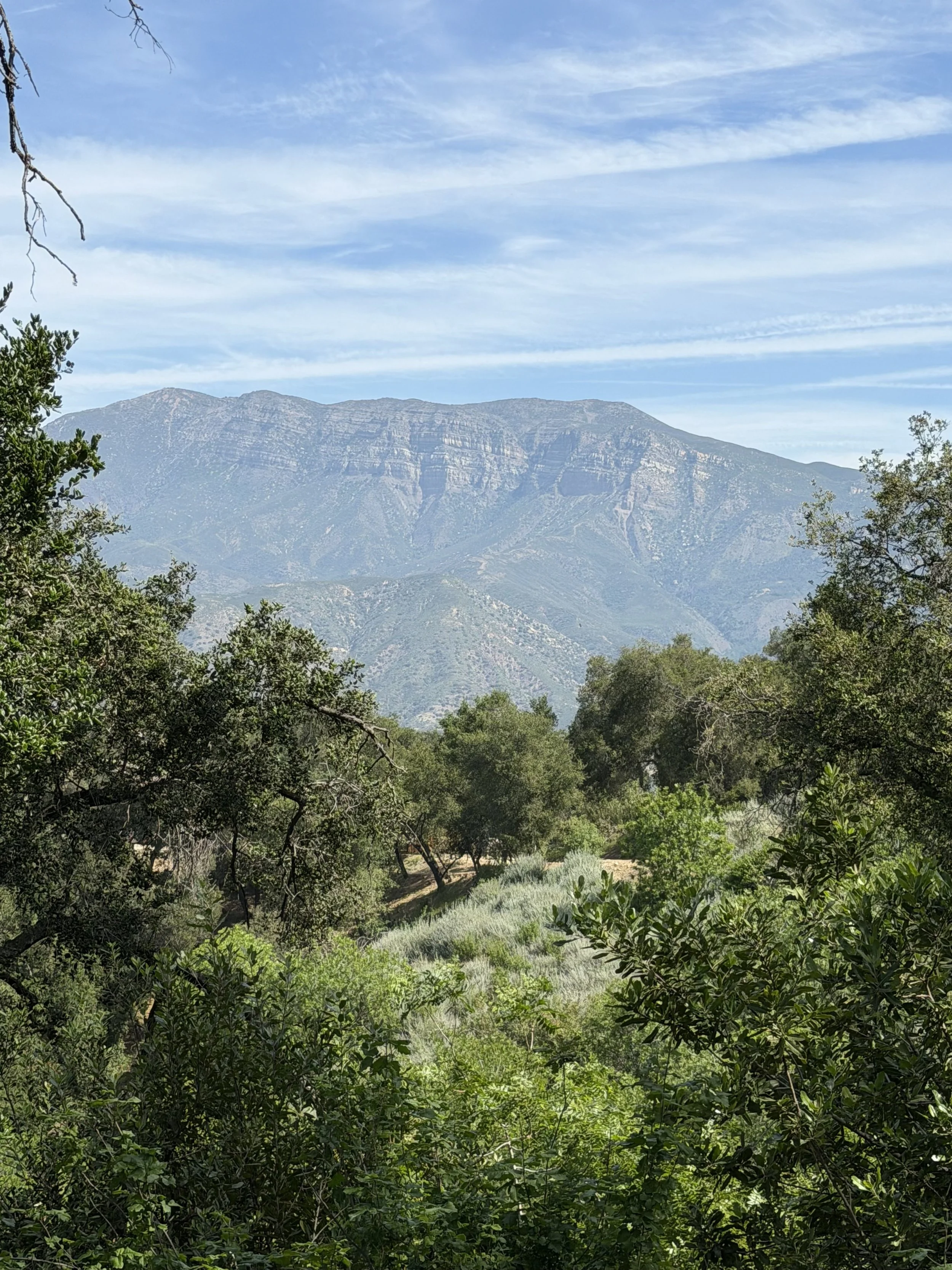 Mountain landscape with lush greenery, trees in the foreground, and a blue sky with wispy clouds.