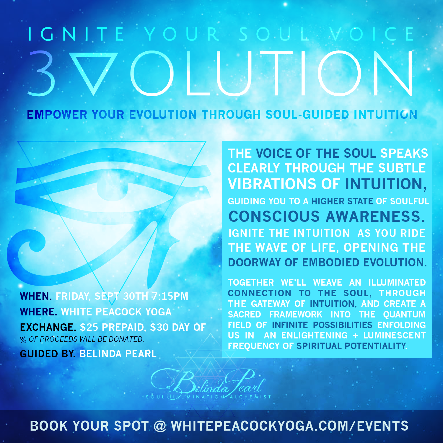 3VOLUTION-voice of the Soul.png