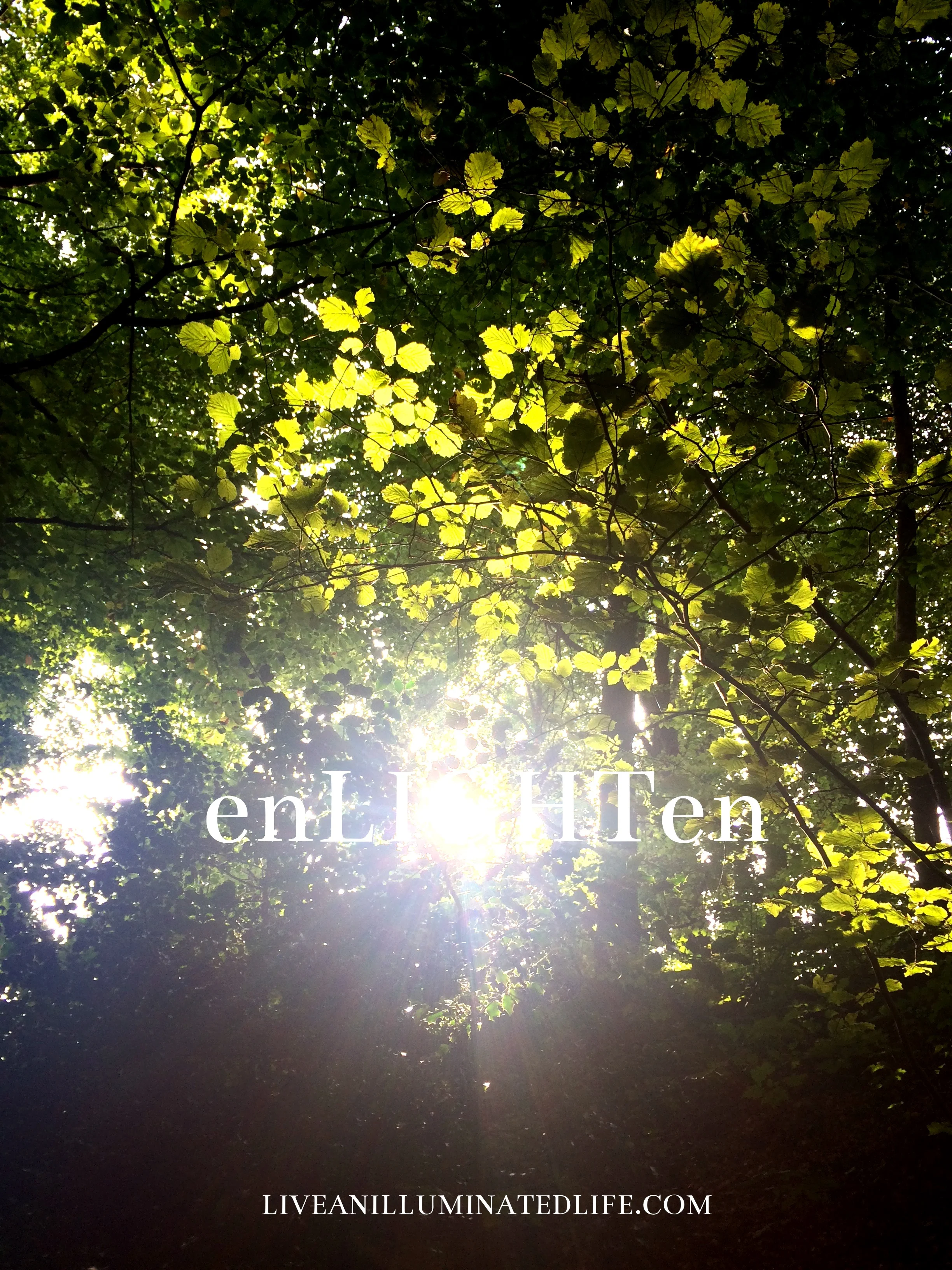 New Moon Sagittarius Inspiring Us to Greater Heights!