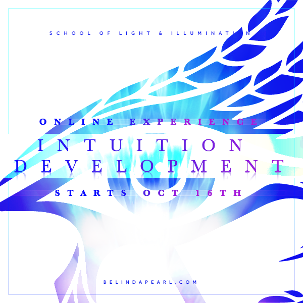 Intuition Development Experience Level 1