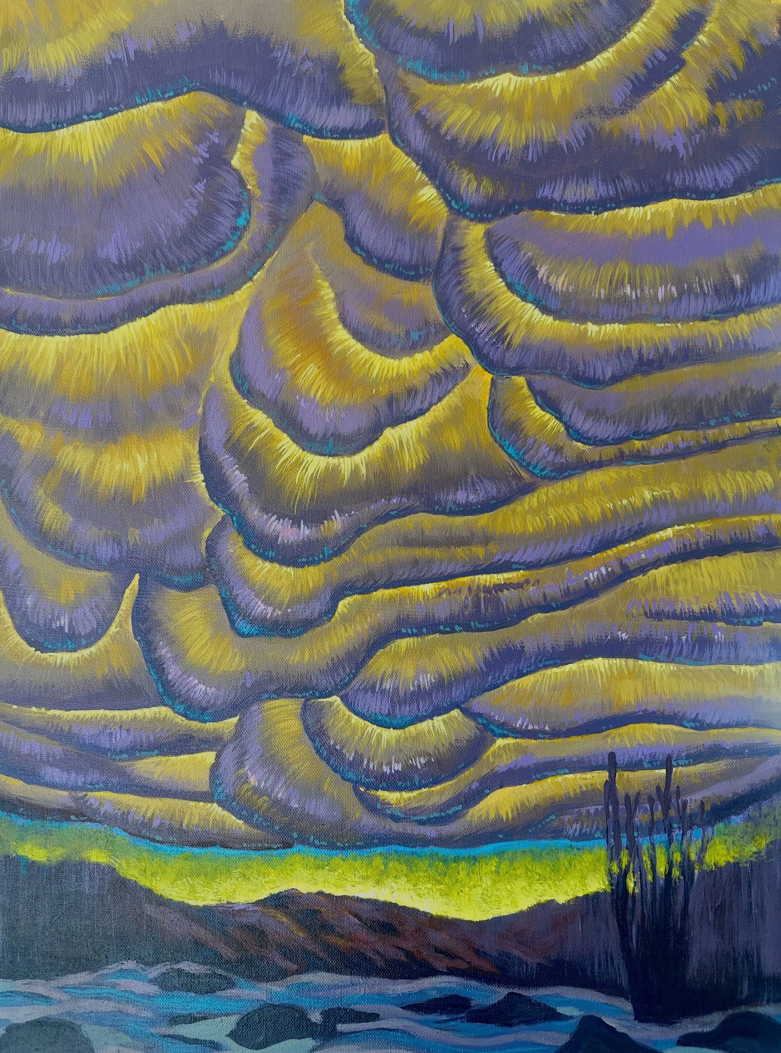 Haboob 24 x 18 800-