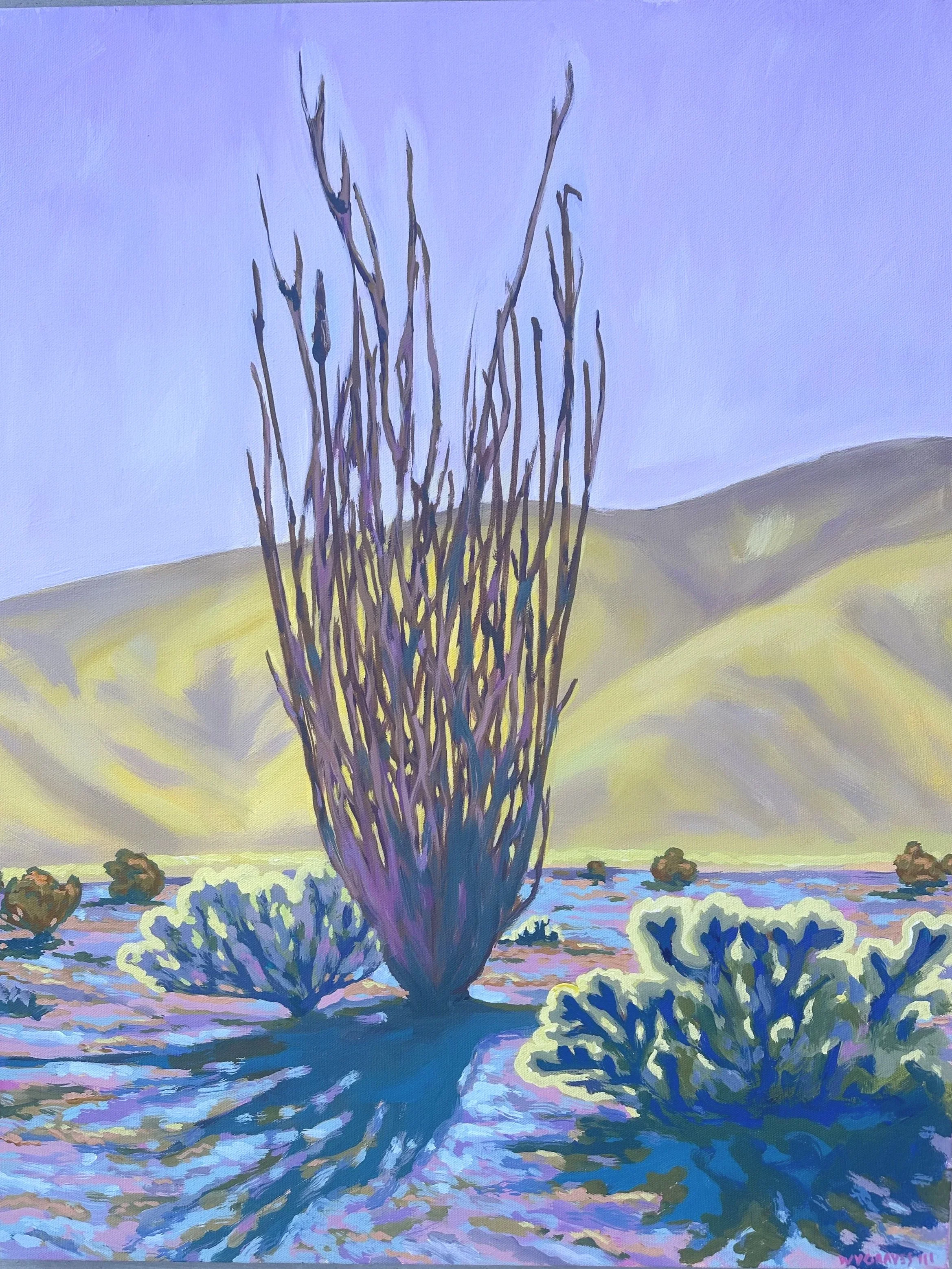 Anza Borrego 24 x 30 1000-