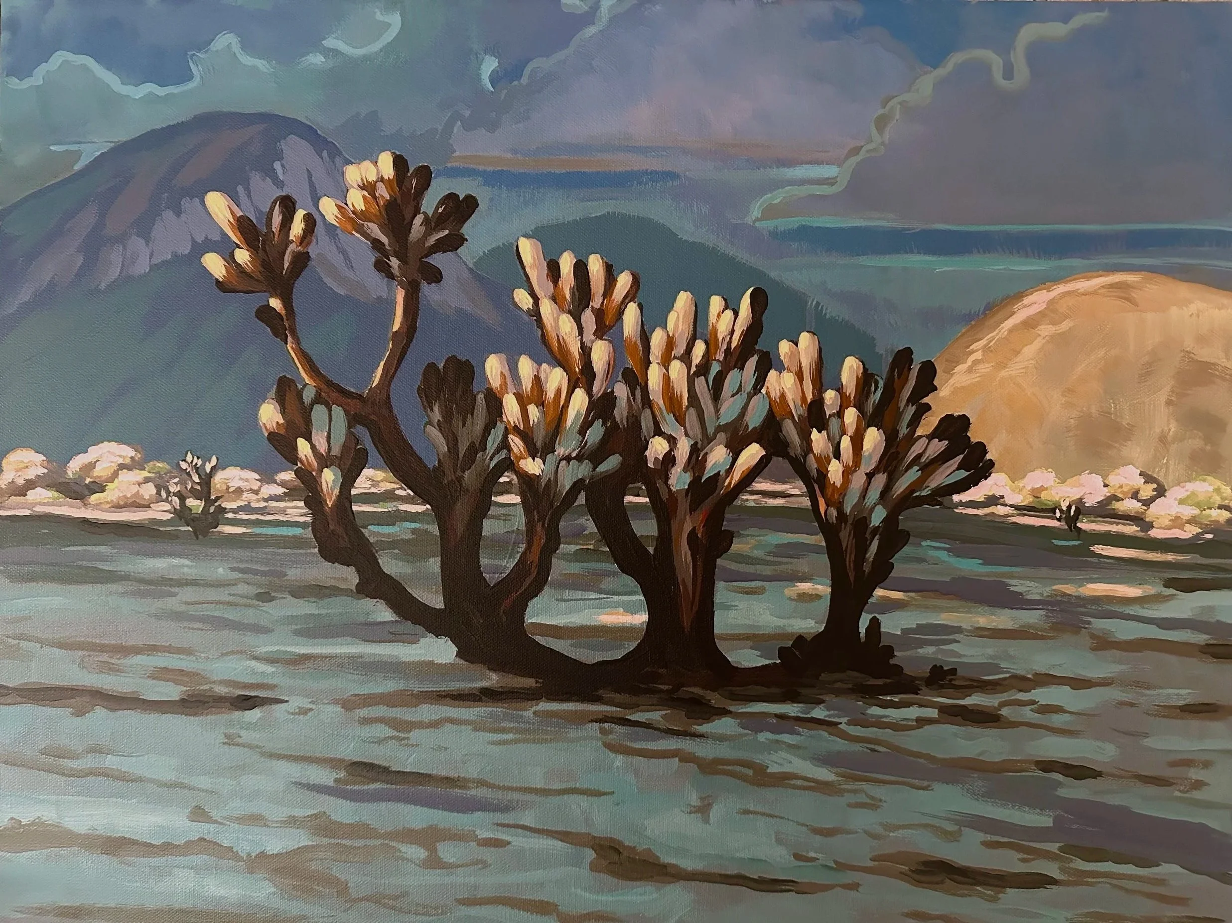 Chuckwalla Wilderness 24 x 18 800-