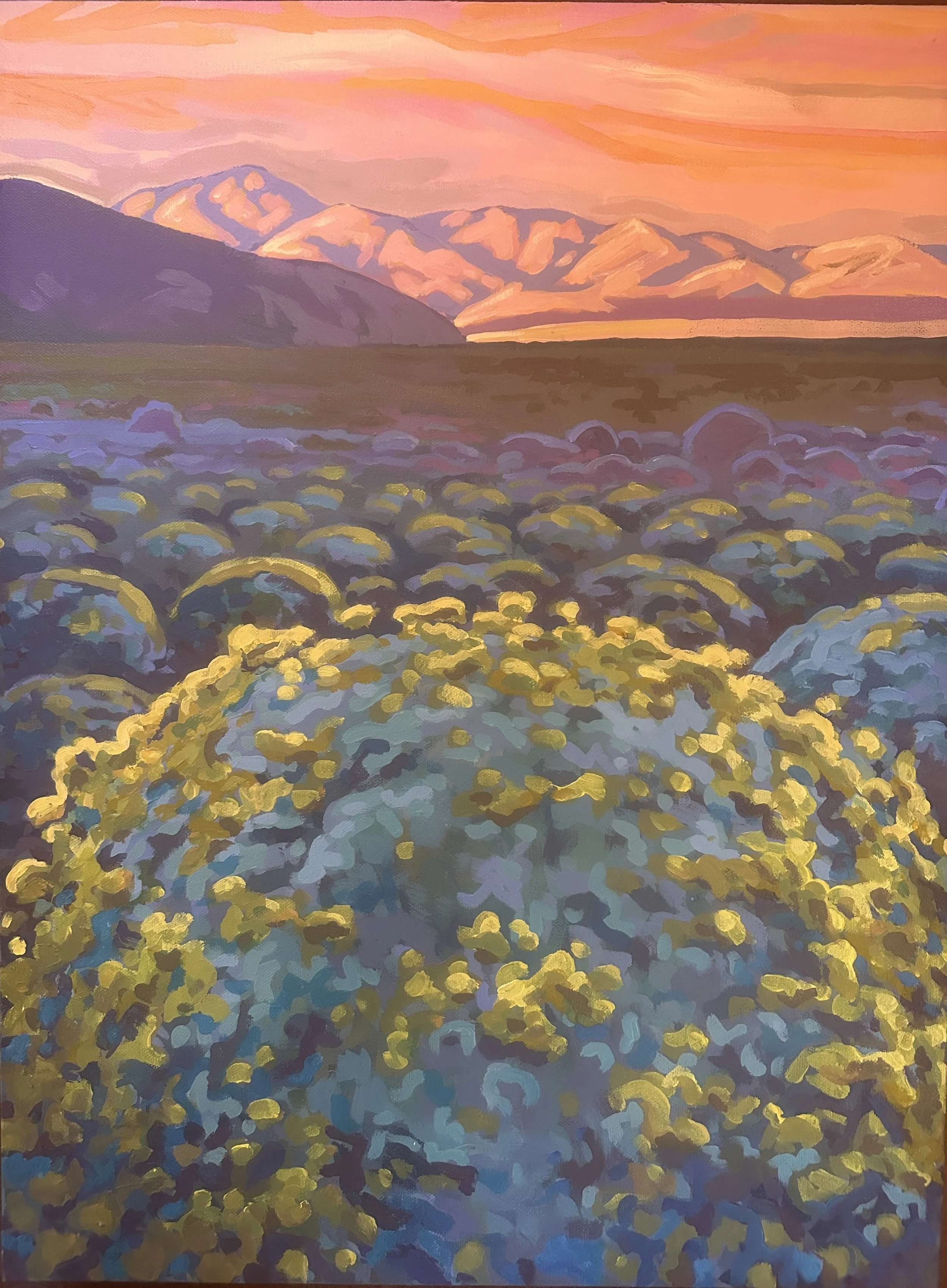 encilia at dusk 24 x 18