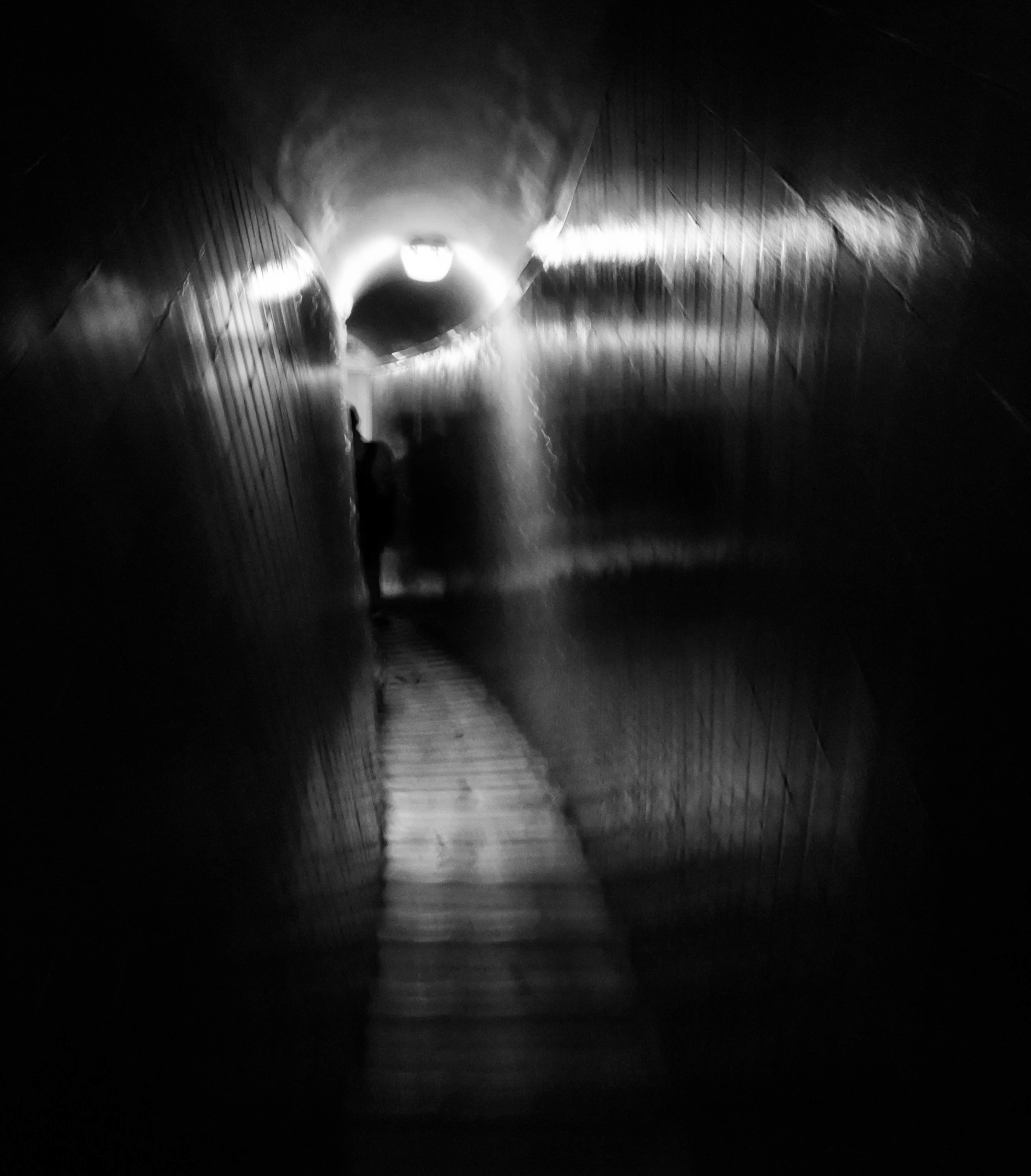 Movement-1.jpg