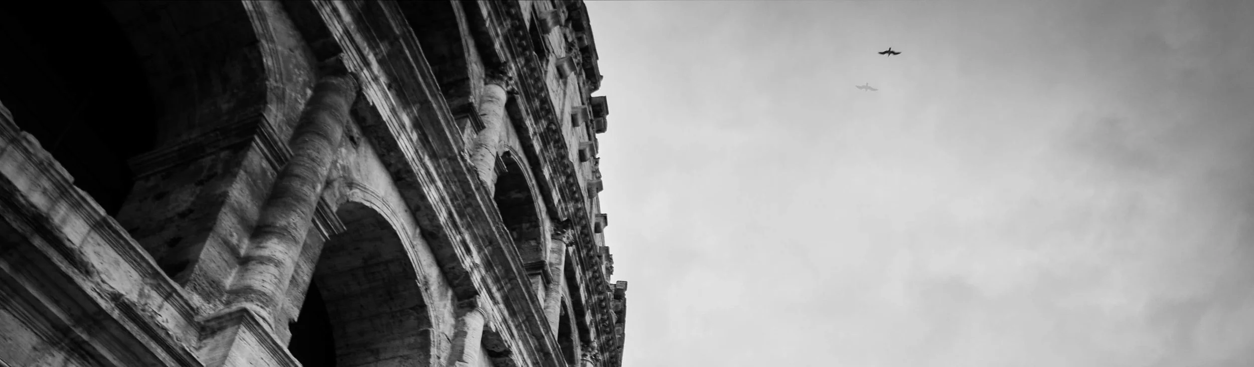 SAM_0248-1-1.jpg
