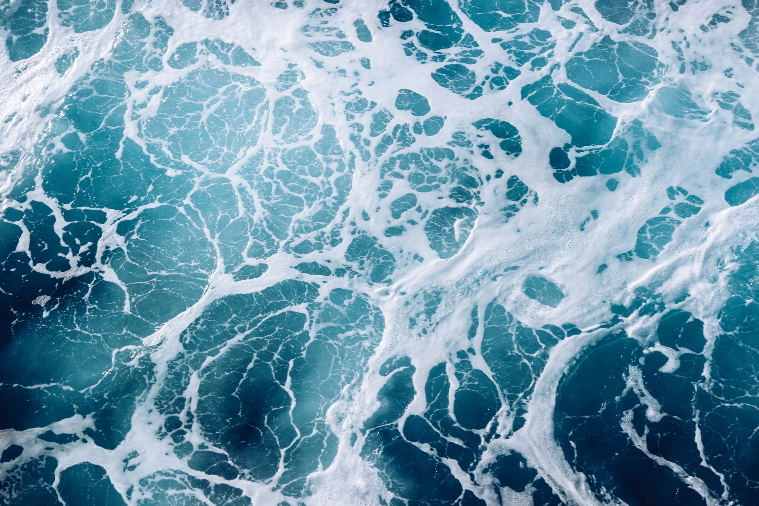 E623C0D6-A624-4FAE-94B5-7CE0E6089A8F.jpg