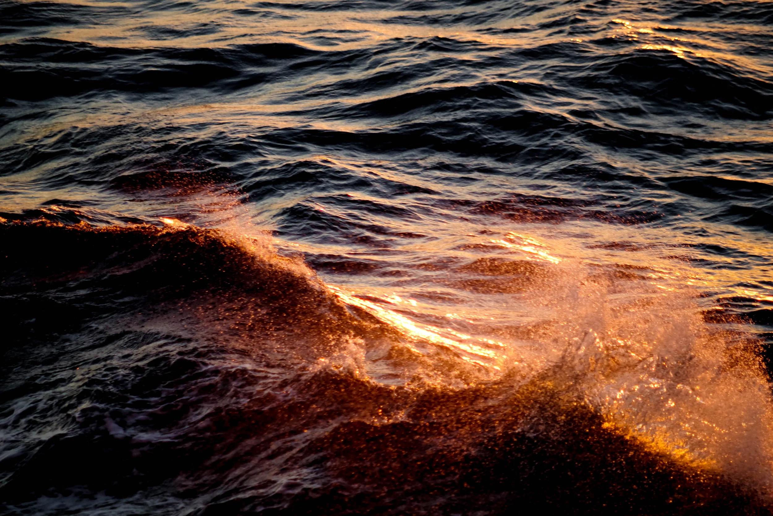Fire Wave 004.jpg