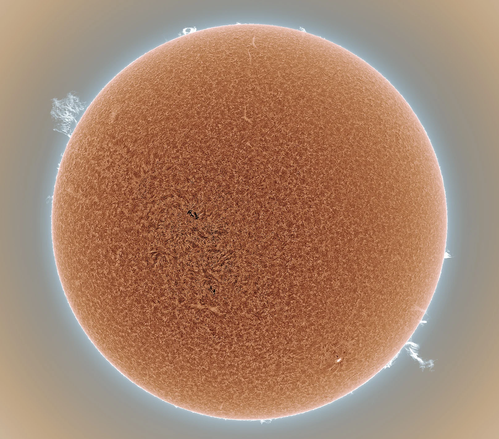 SUN.jpg