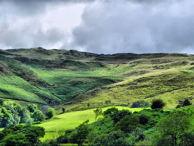 My Fairy Dell in the Welsh Marches