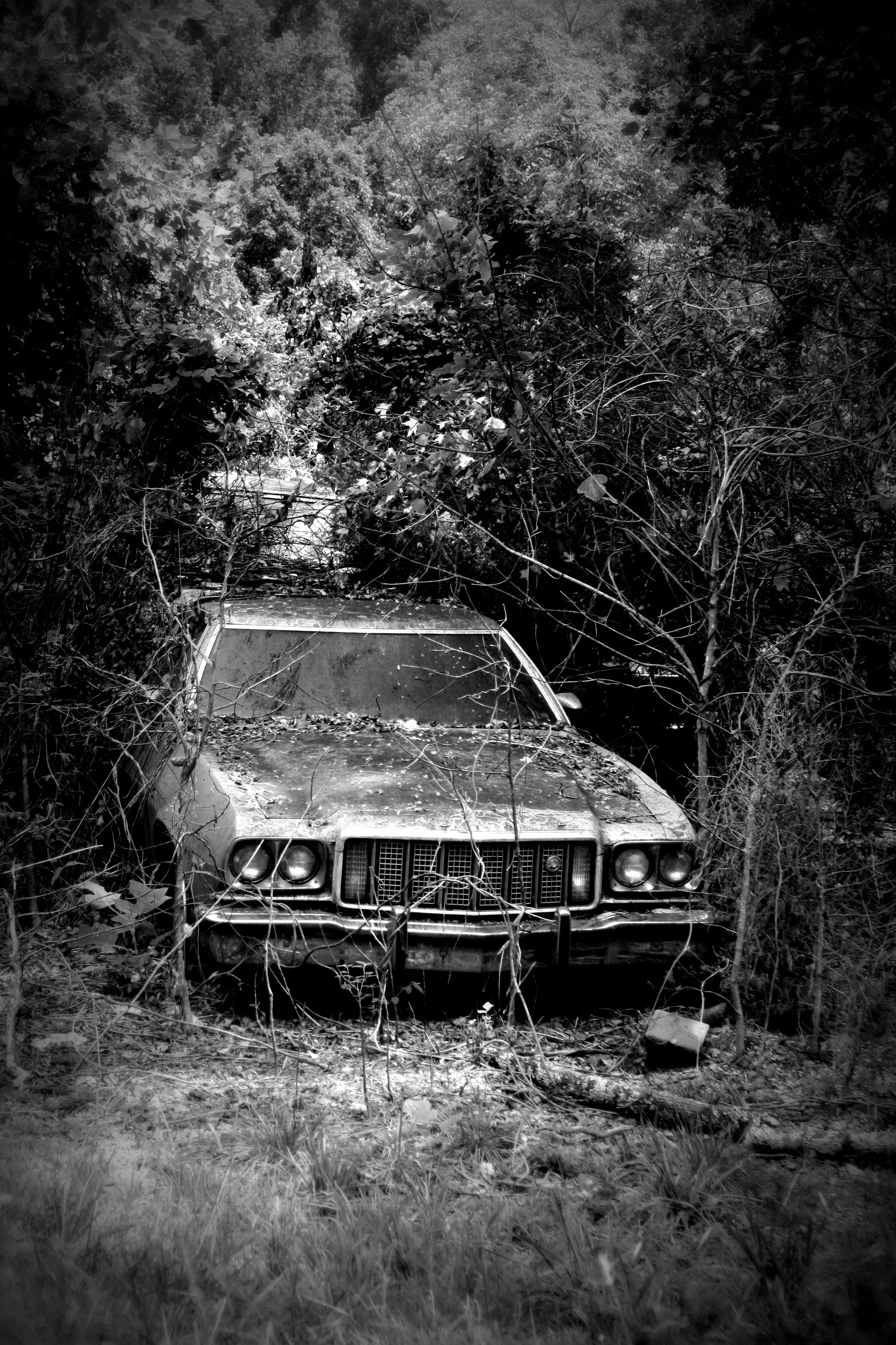 Gran Torino, Central, SC