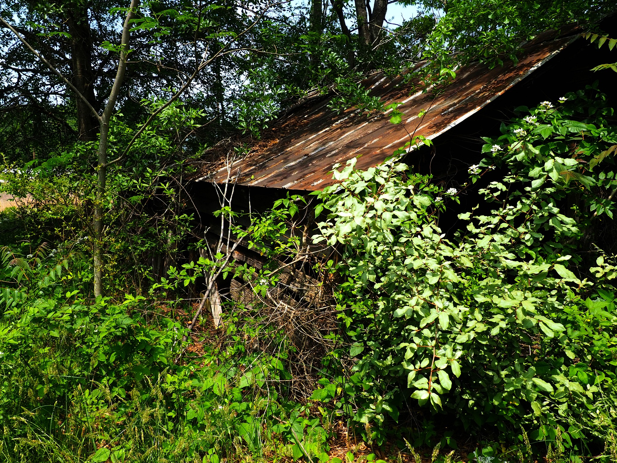 Travelers Rest, SC