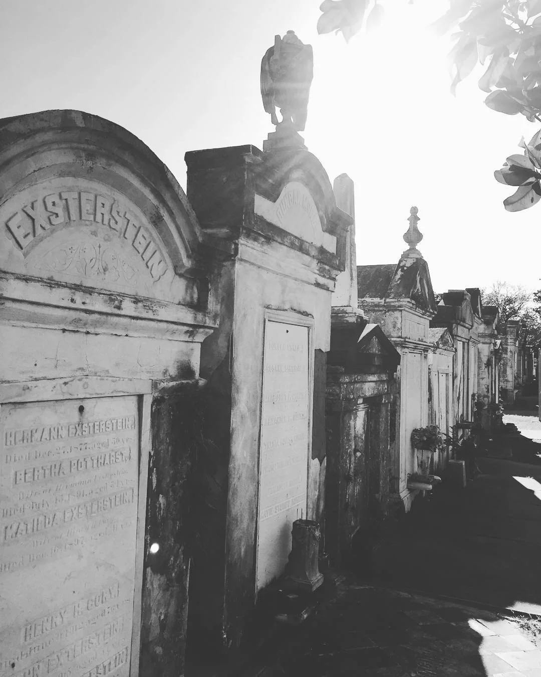 NOLA graves group.JPG