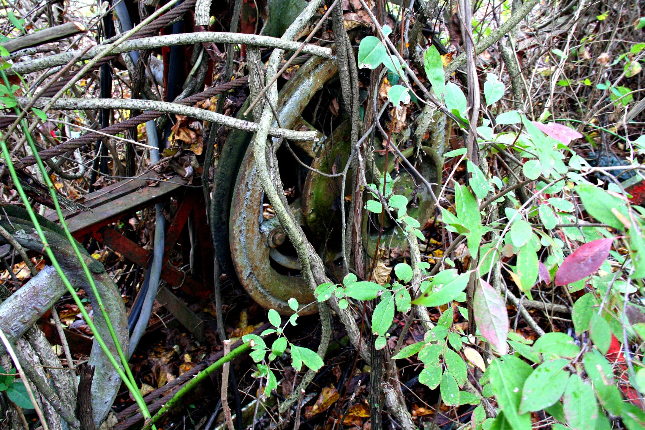 WV Ferris machine wheel.JPG