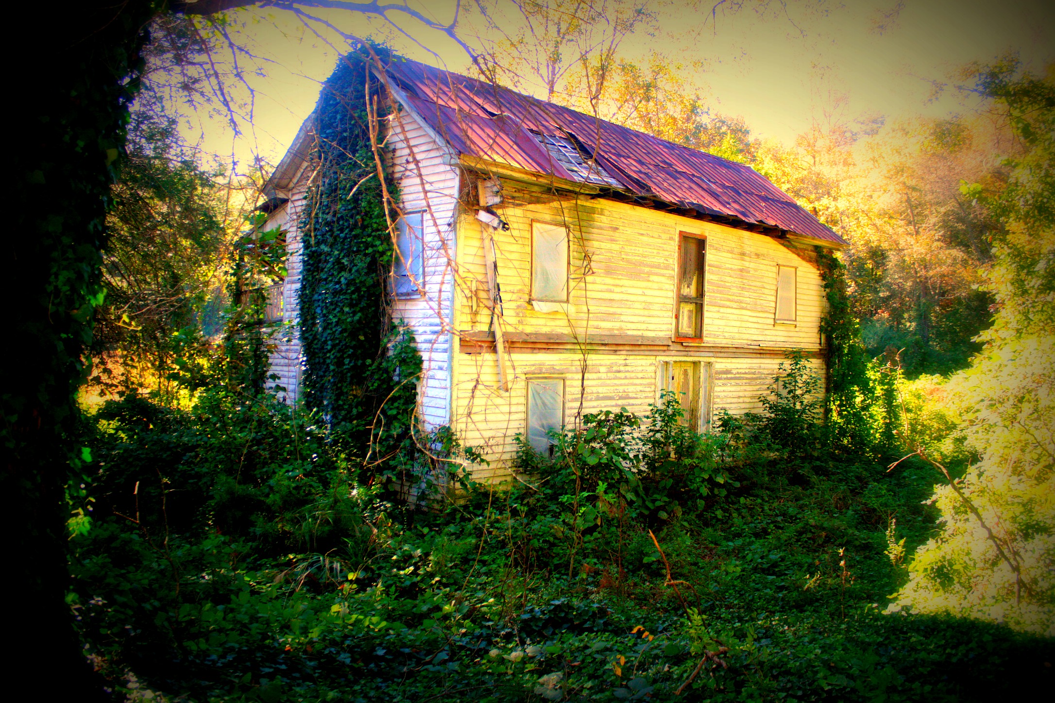 Copy of kudzu house3.jpg