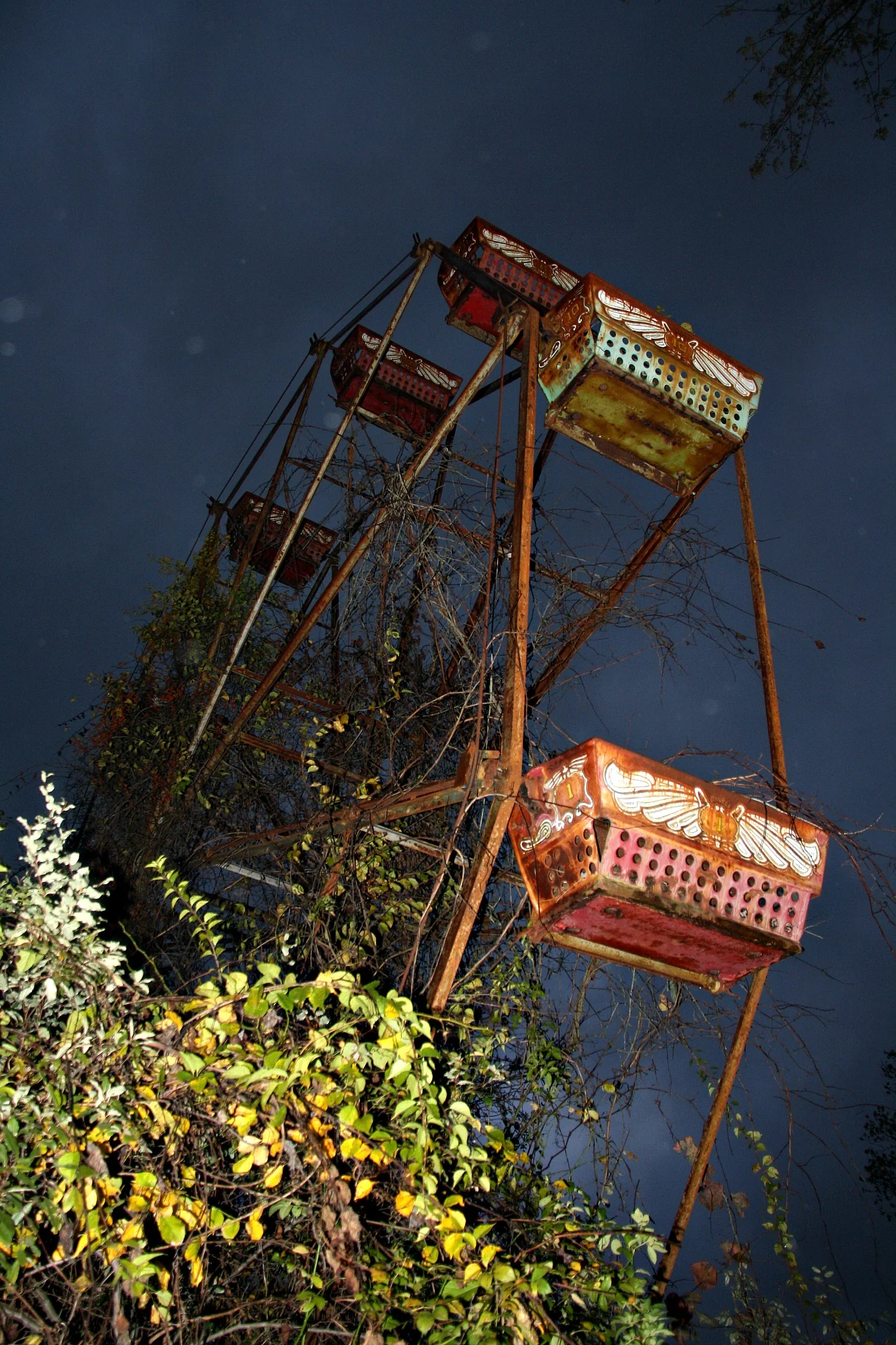 angled ferris wheel color.jpg
