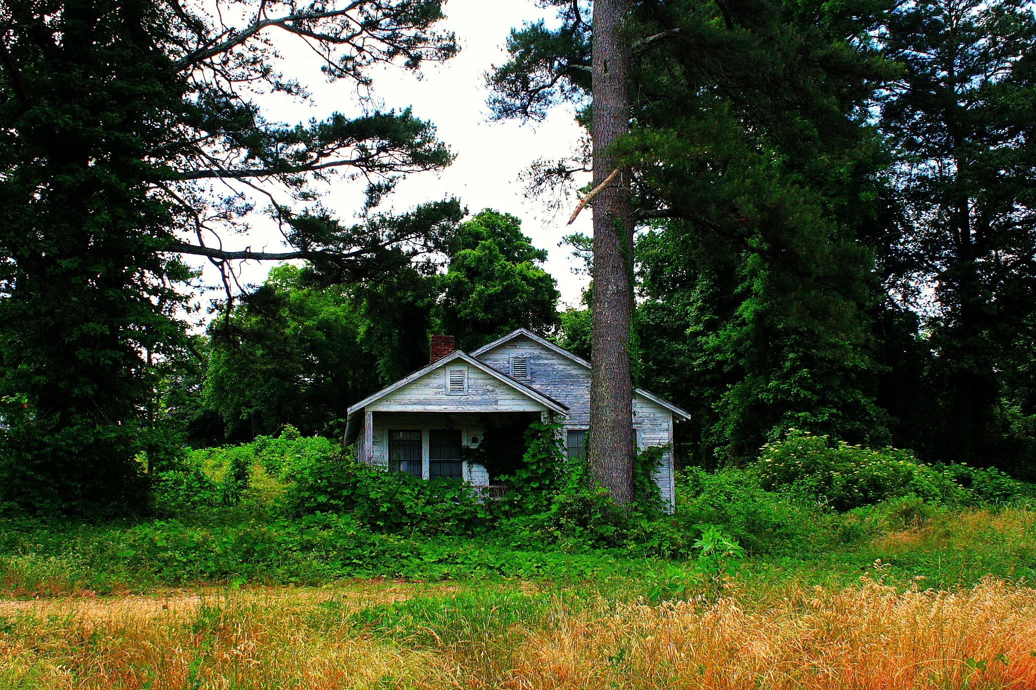 Great falls Kudzu House1.jpg